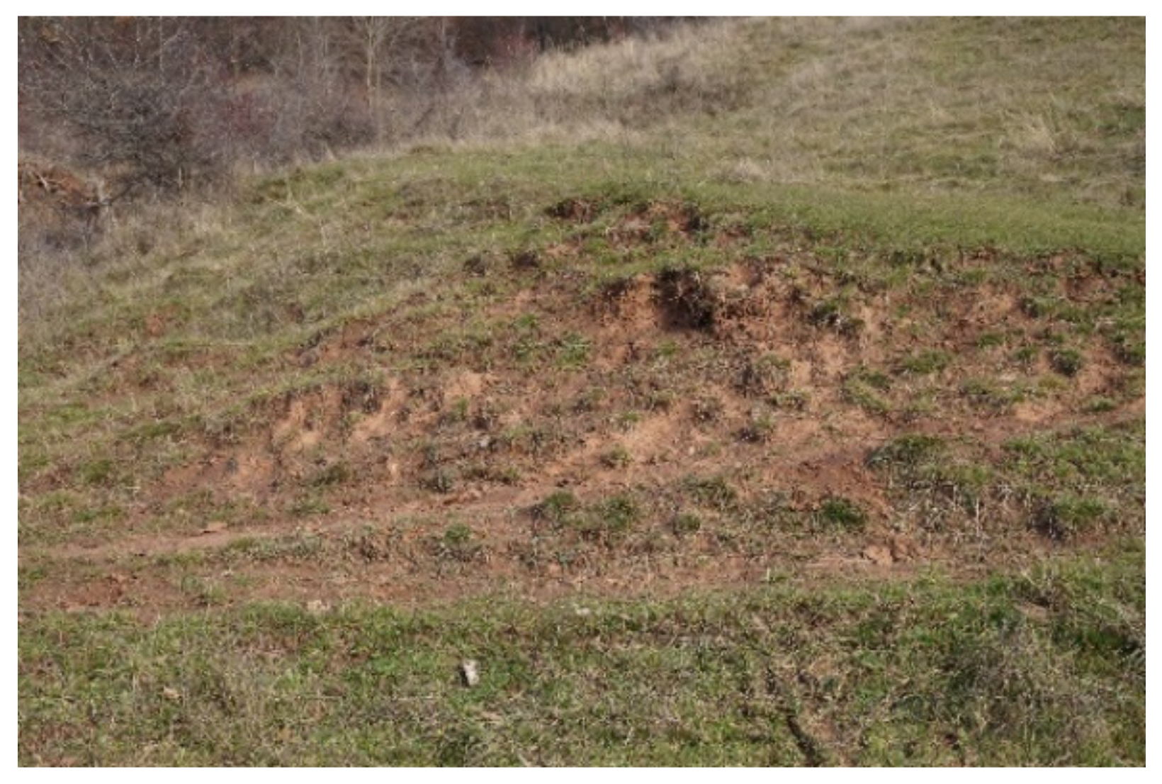 Sustainability 14 00652 g012