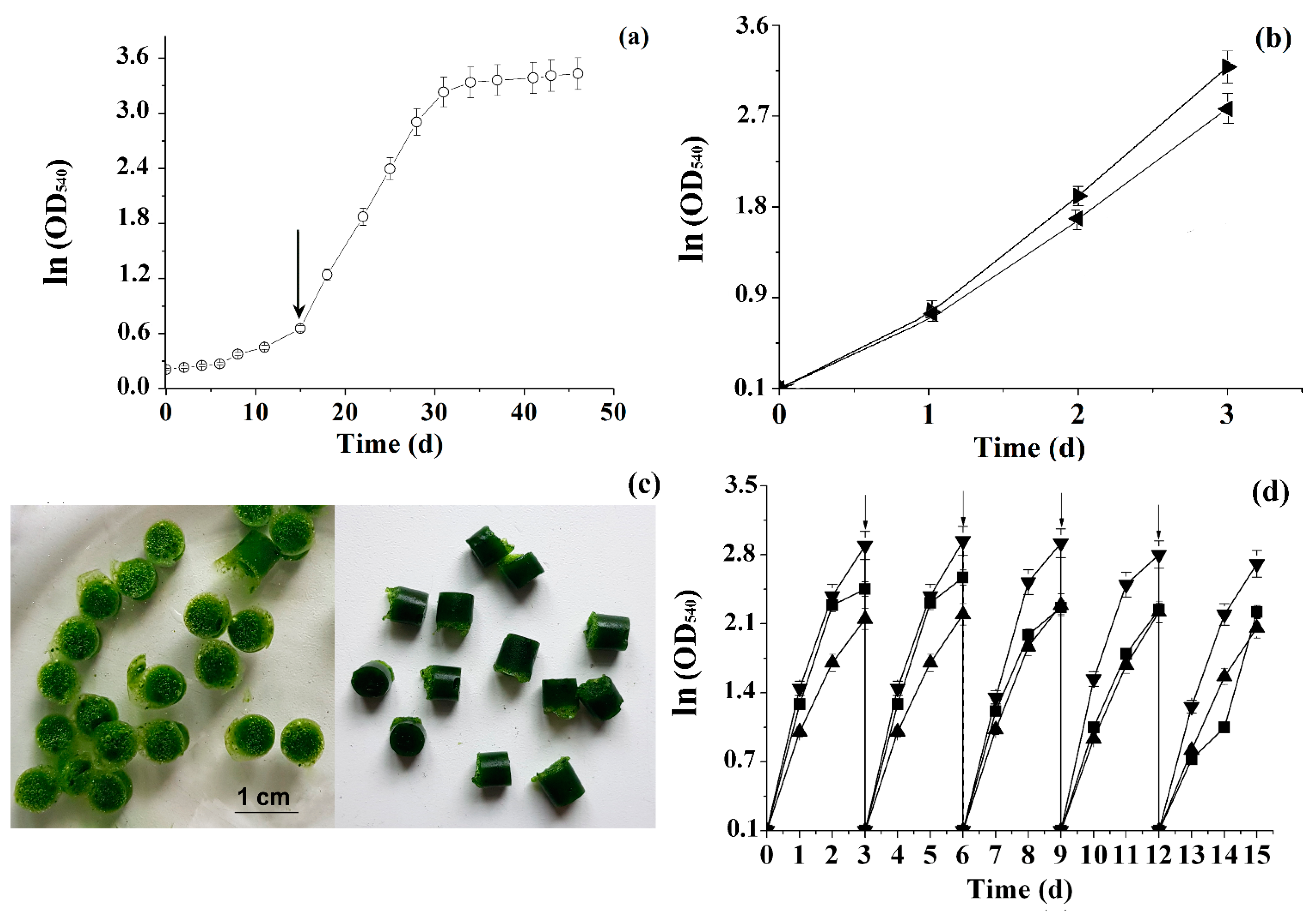 Sustainability 14 00661 g003 Sustainability 14 00661 g003