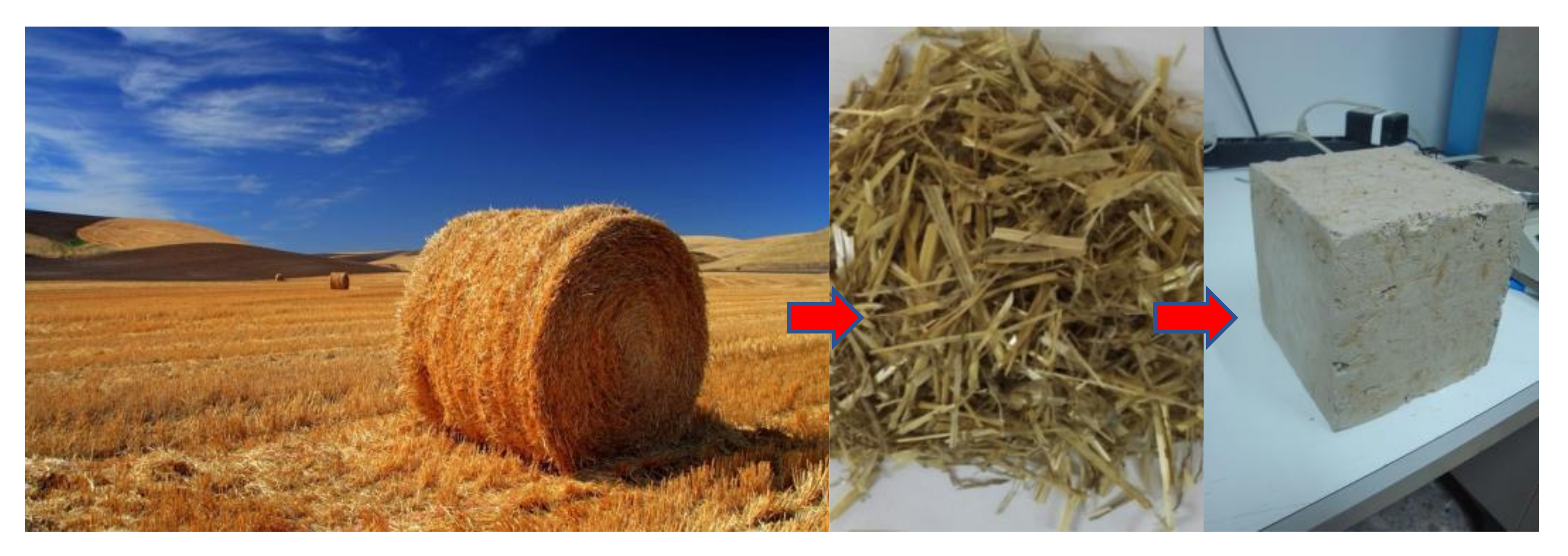 Sustainability 14 00670 g002a Sustainability 14 00670 g002a