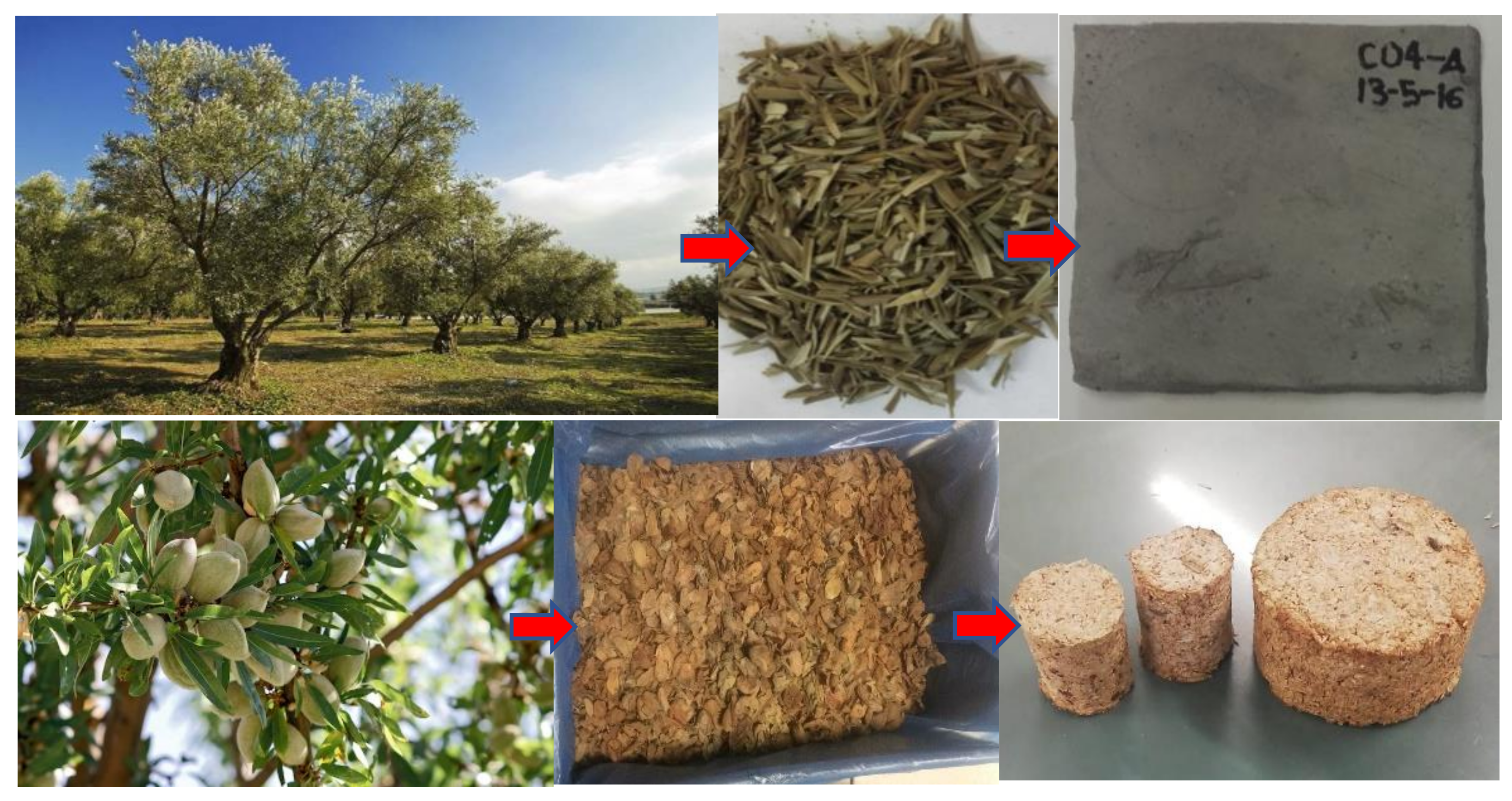 Sustainability 14 00670 g002b Sustainability 14 00670 g002b