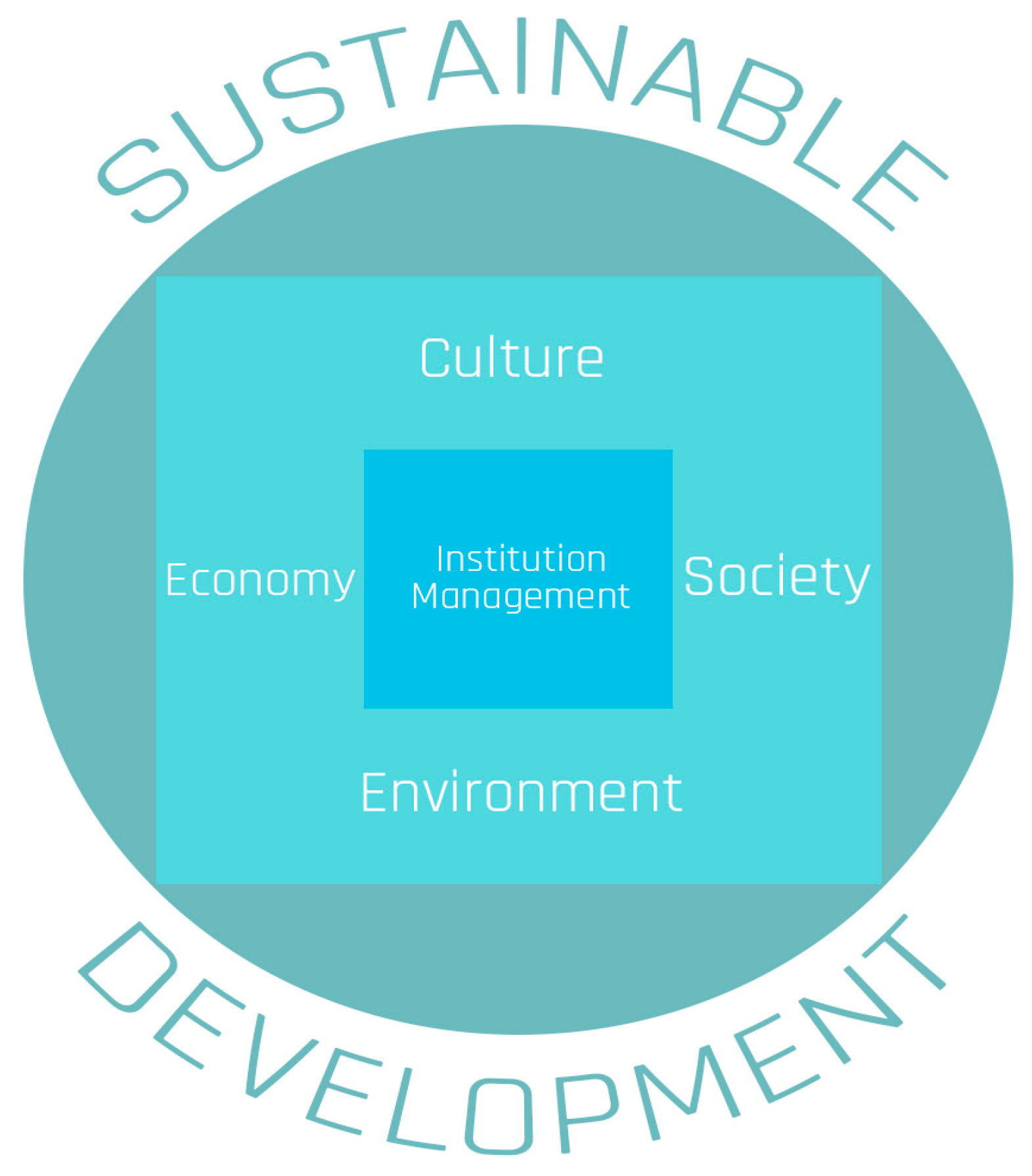 sustainable development company case study