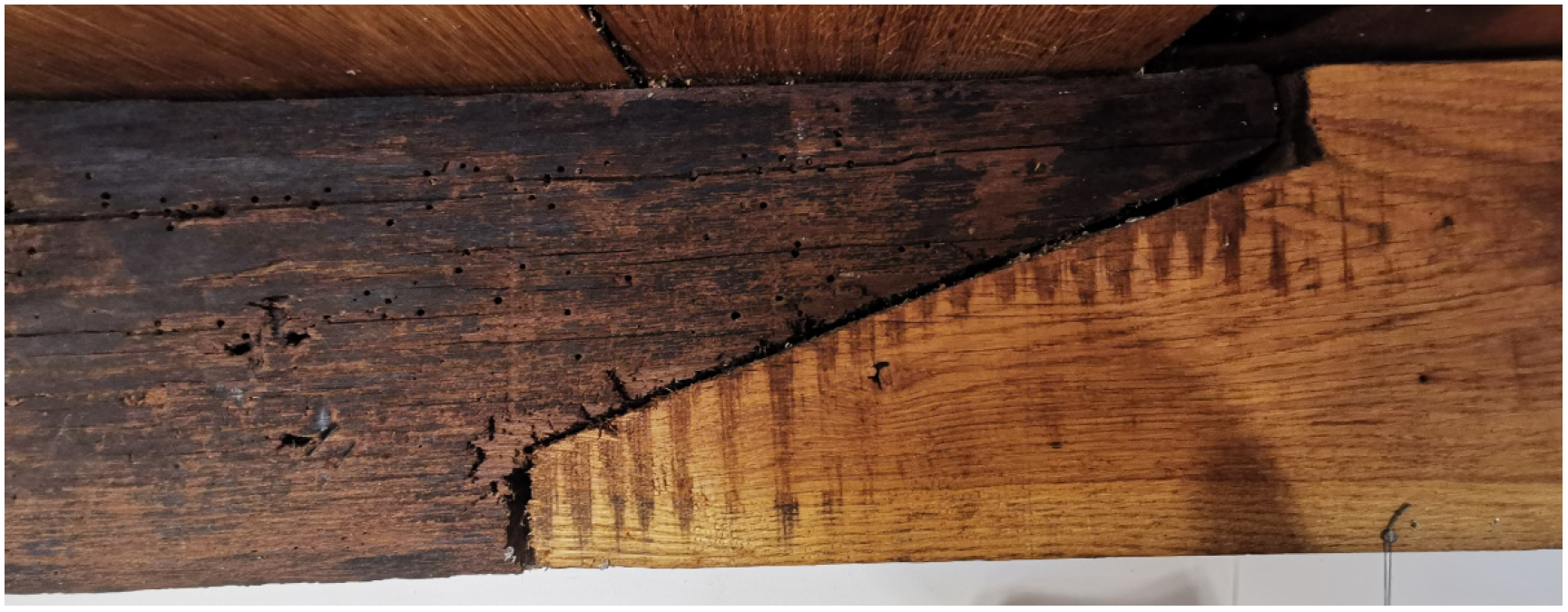 Sustainability 14 00720 g003