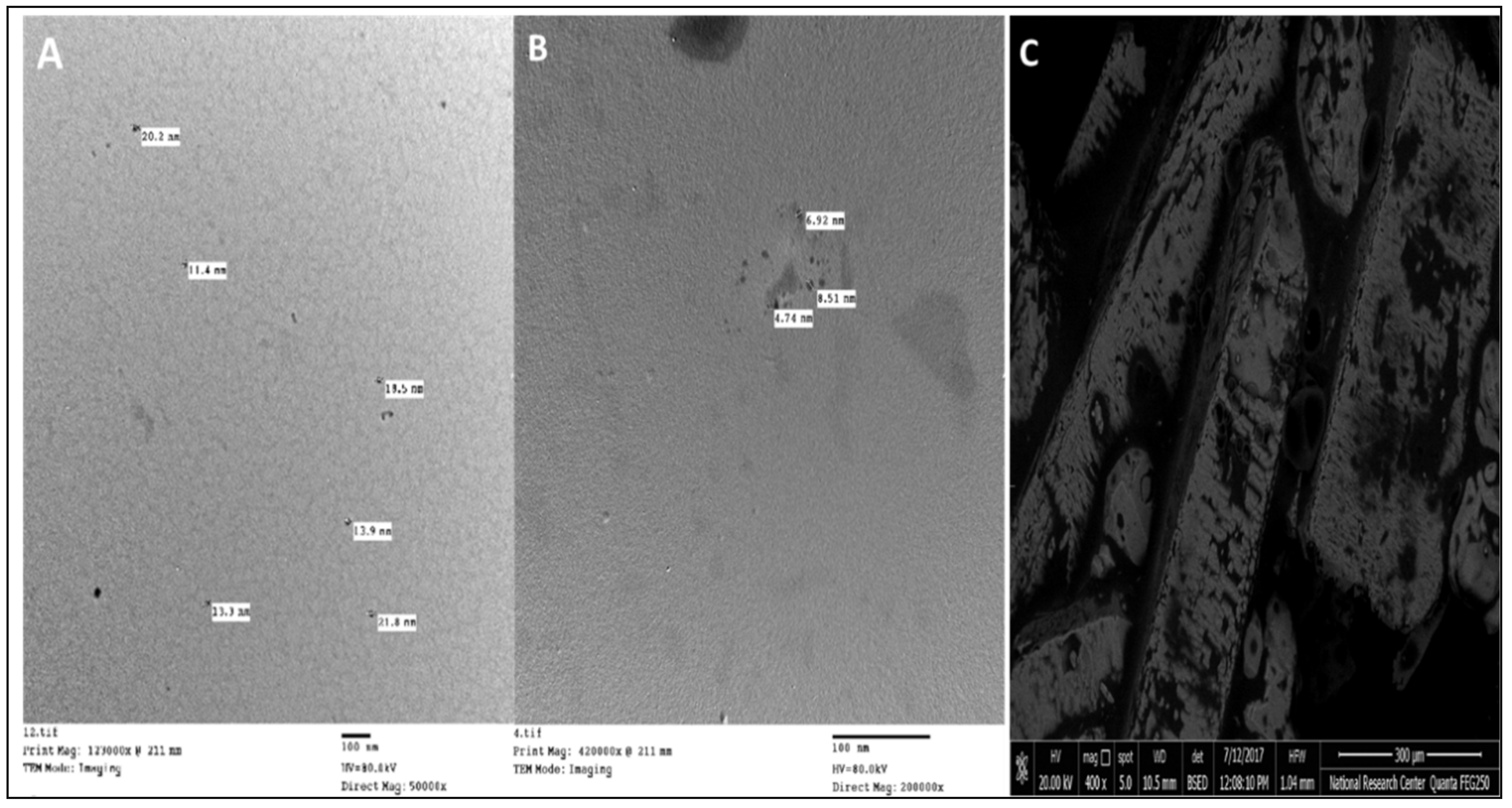 Sustainability 14 00723 g001