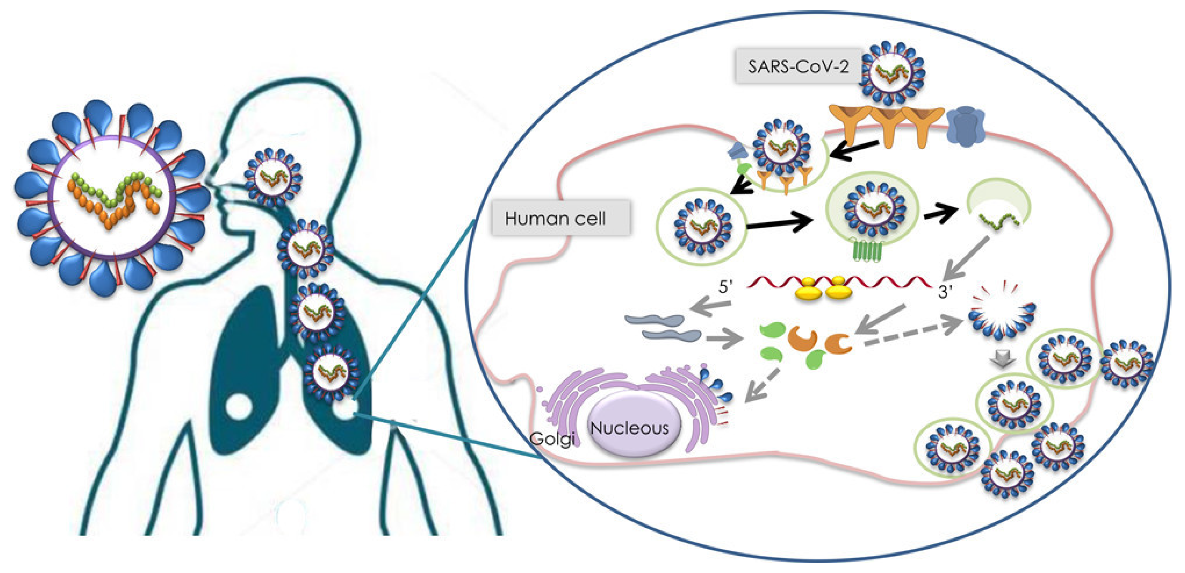 Sustainability 14 00737 g002