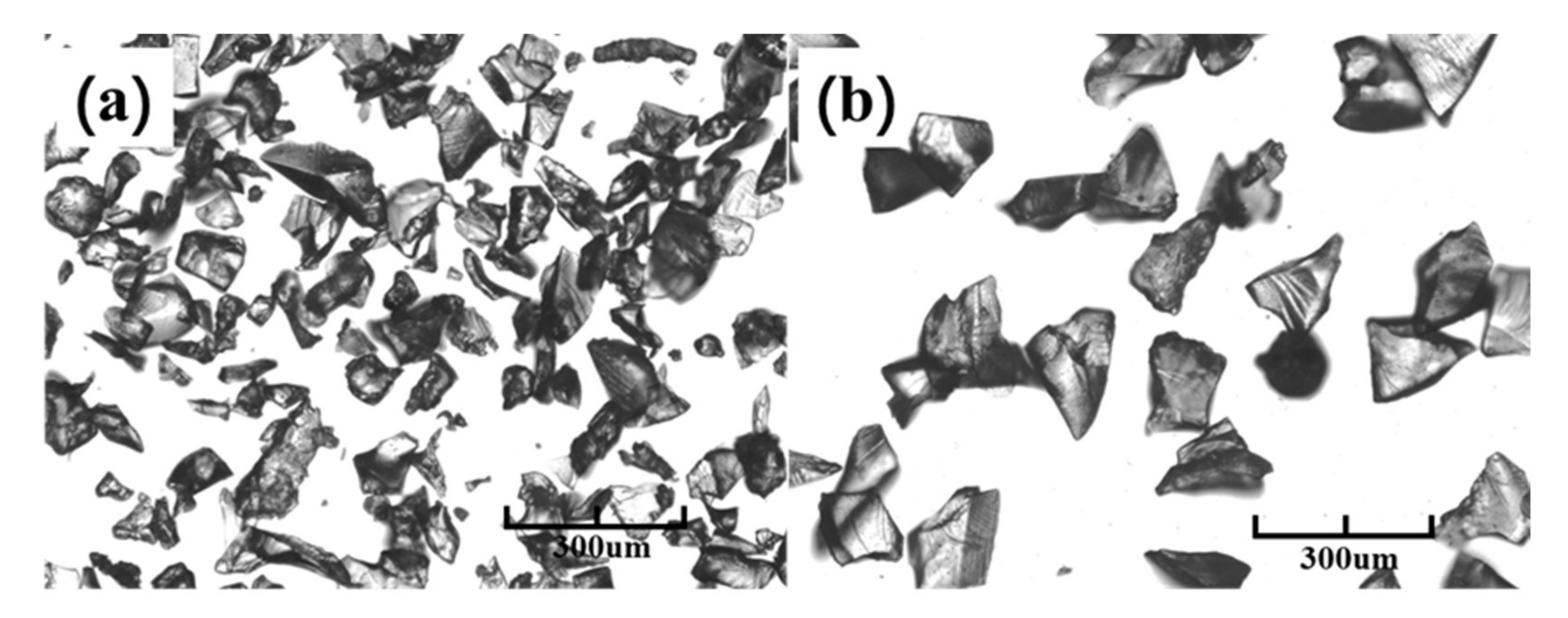 Sustainability 14 00752 g001 550