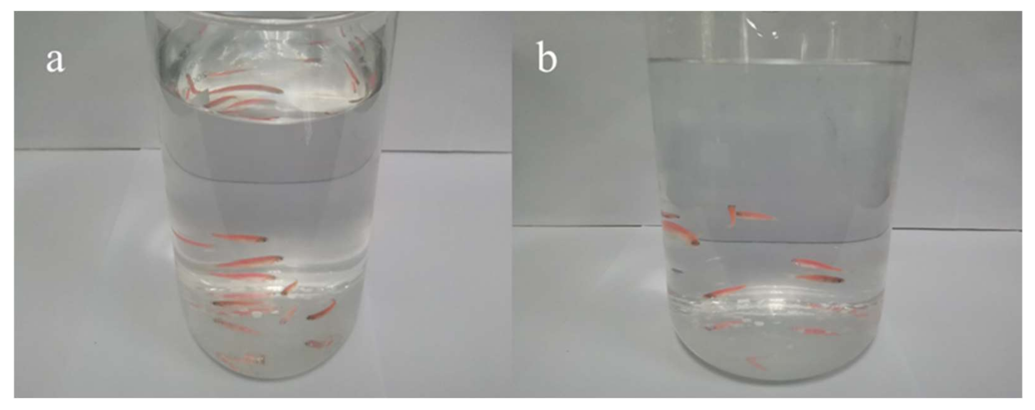 Sustainability 14 00752 g008 550