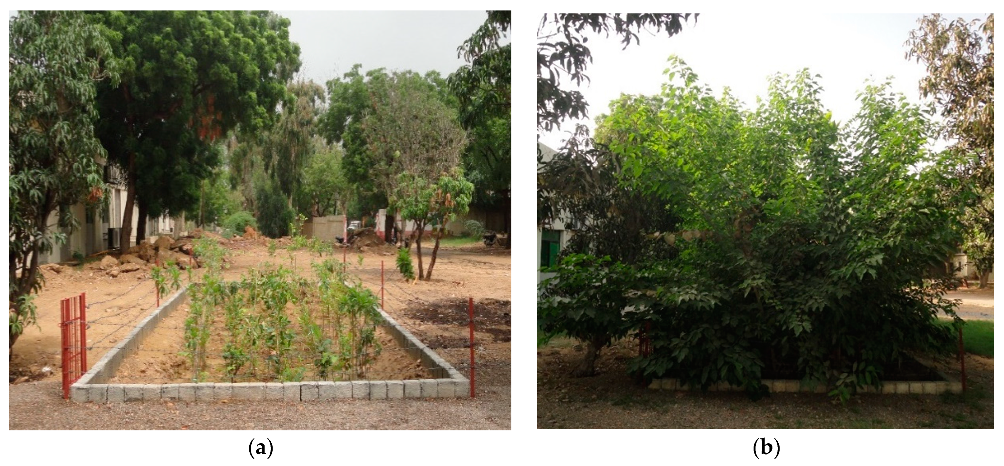 Sustainability 14 00794 g003