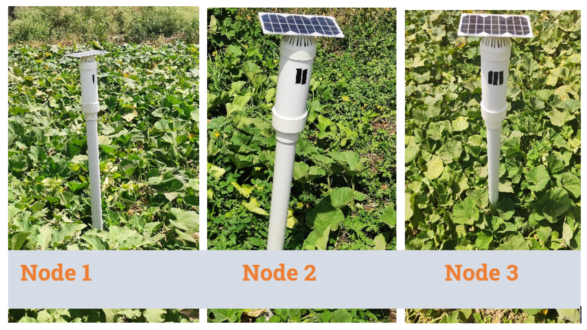 Sustainability 14 00827 g005