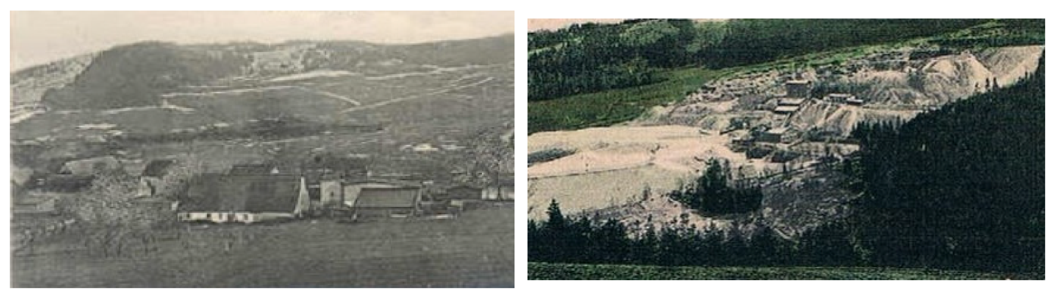 Sustainability 14 00874 g002