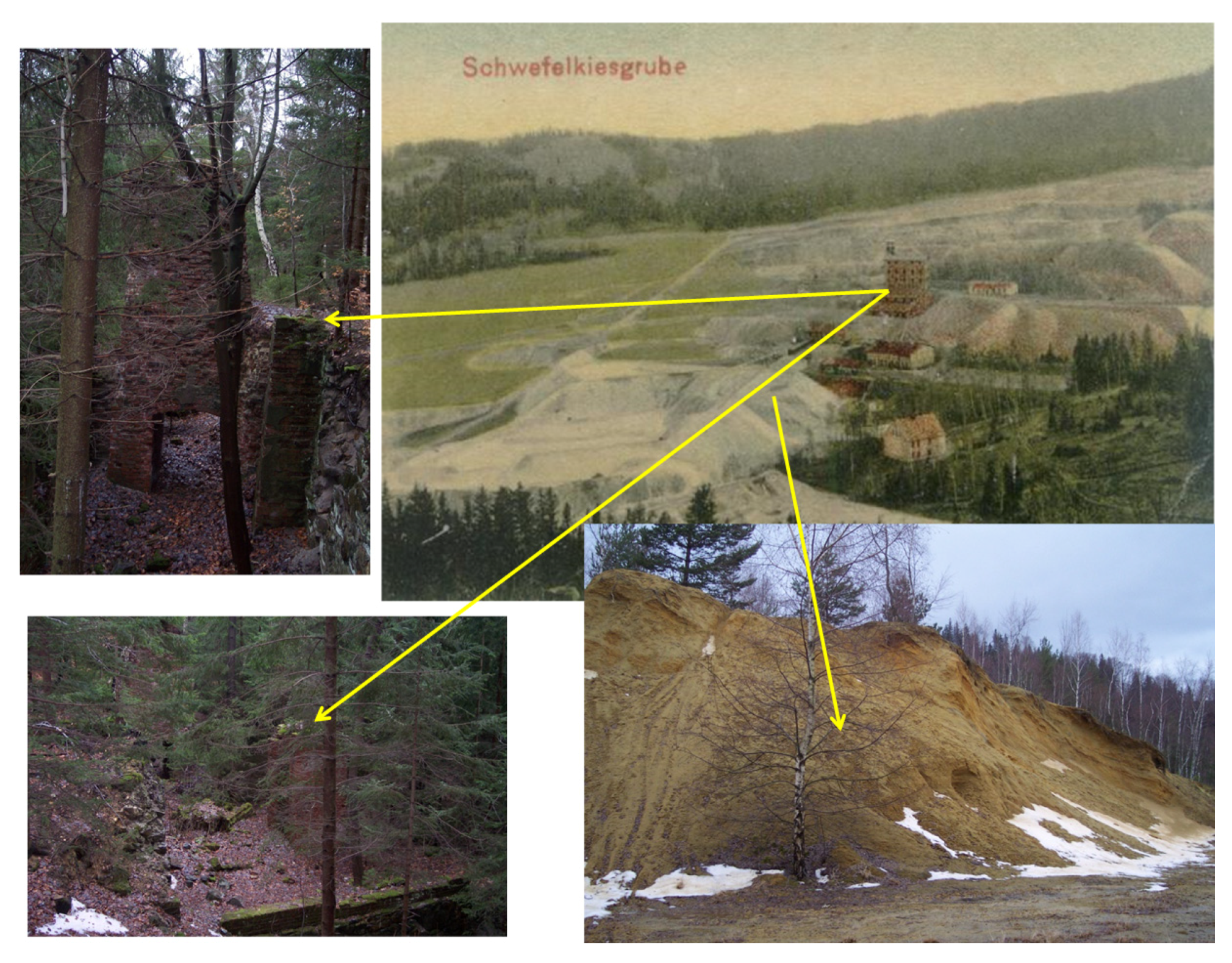 Sustainability 14 00874 g005