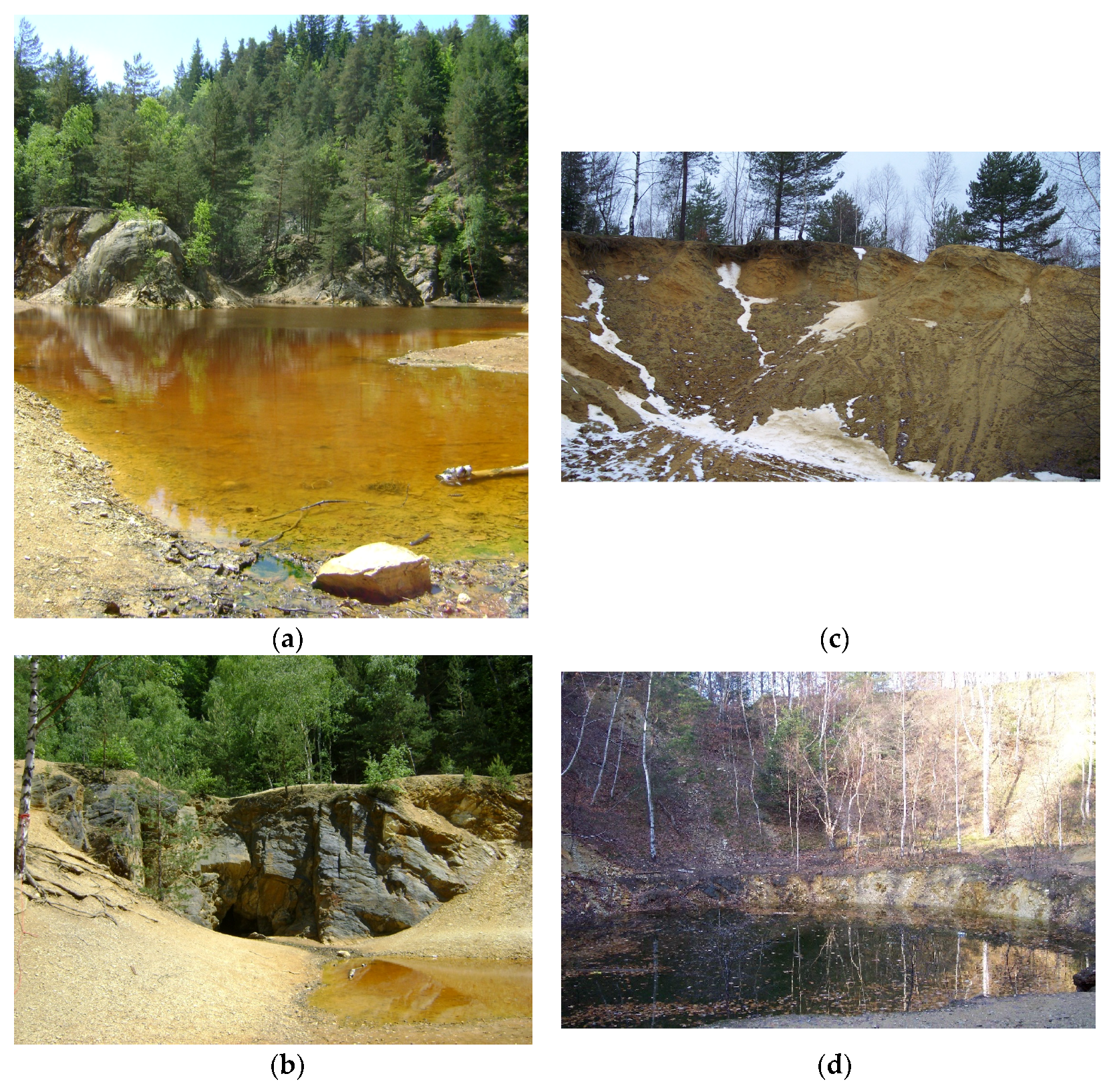 Sustainability 14 00874 g008