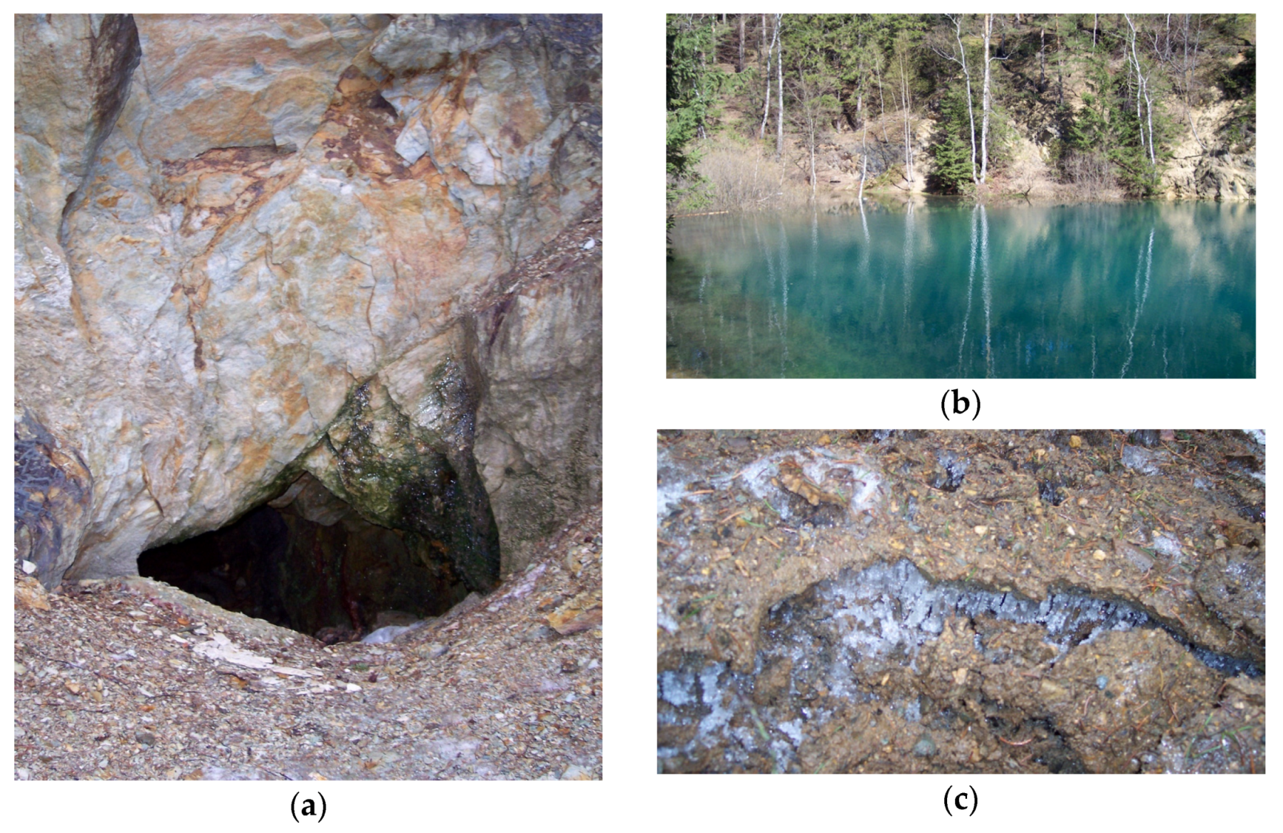 Sustainability 14 00874 g009