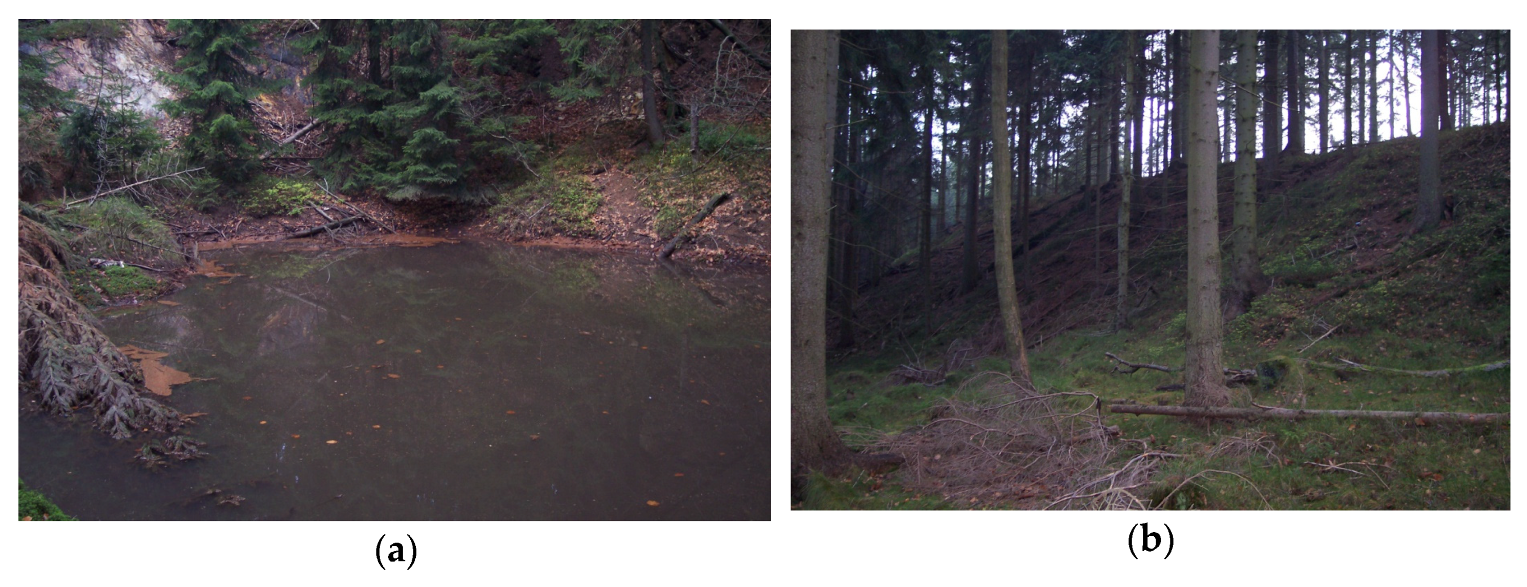 Sustainability 14 00874 g010