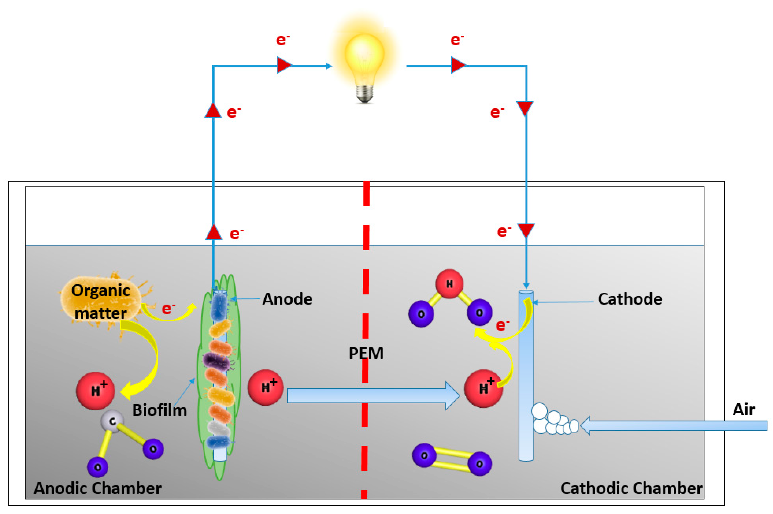 Sustainability 14 00955 g005