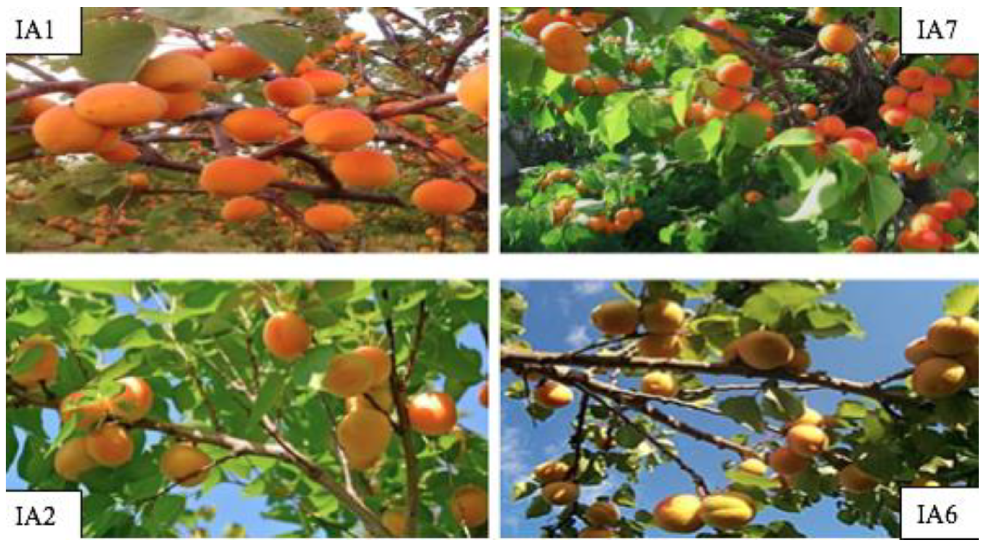 Sustainability 14 01063 g001