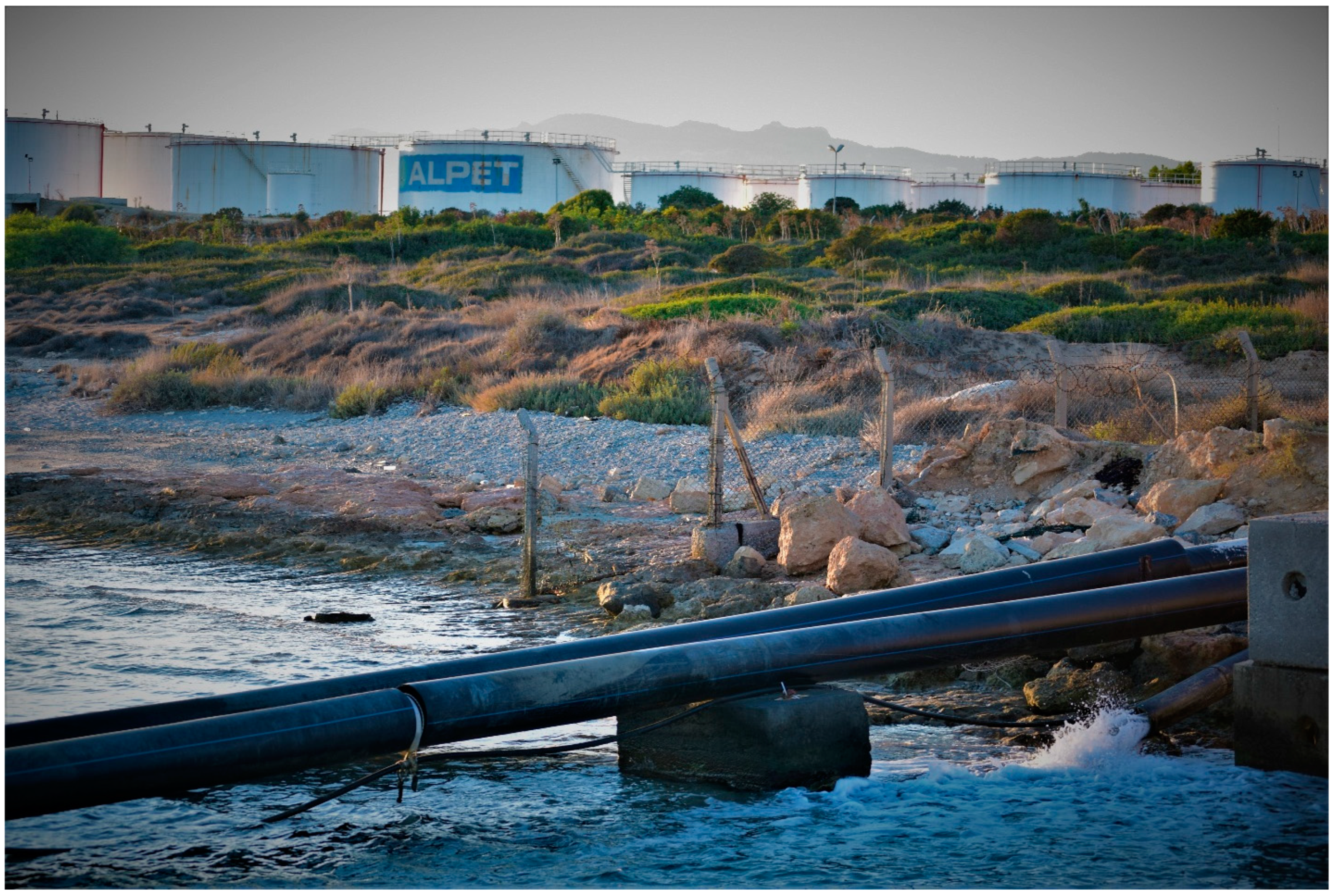 Sustainability 14 01066 g0a2