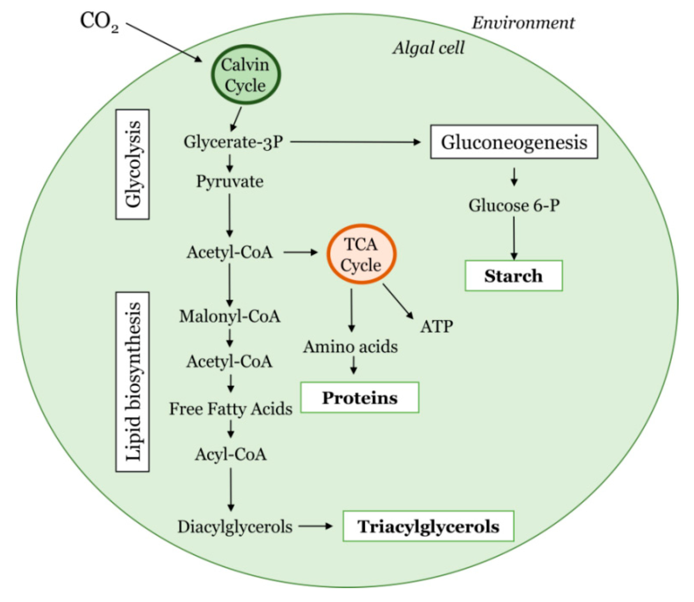 Sustainability 14 01075 g001