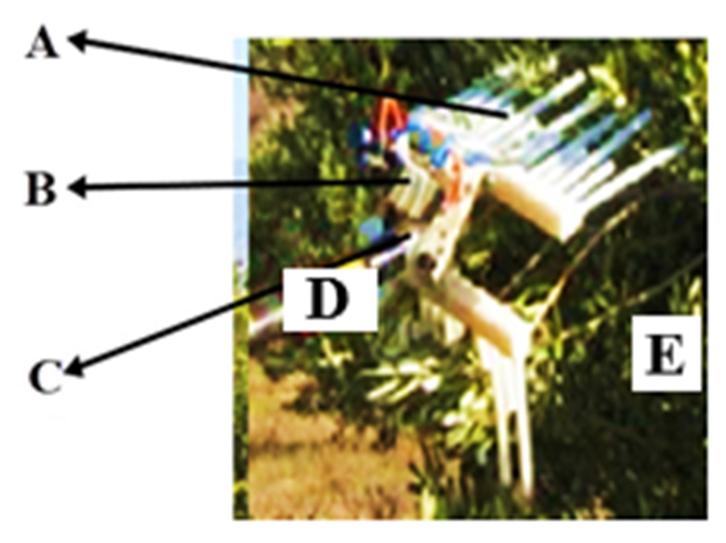 Sustainability 14 01091 g007 550