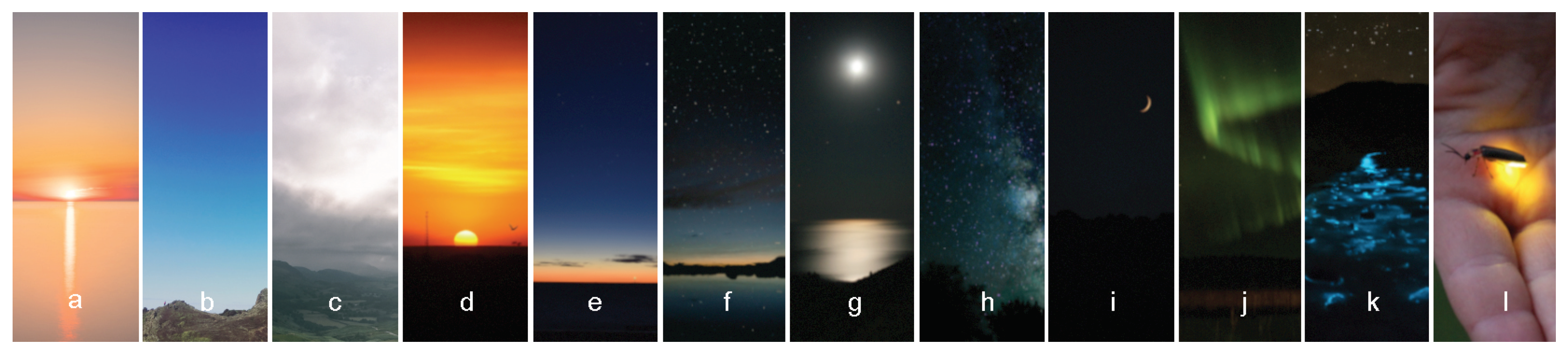 Sustainability 14 01107 g0a1 Sustainability 14 01107 g0a1