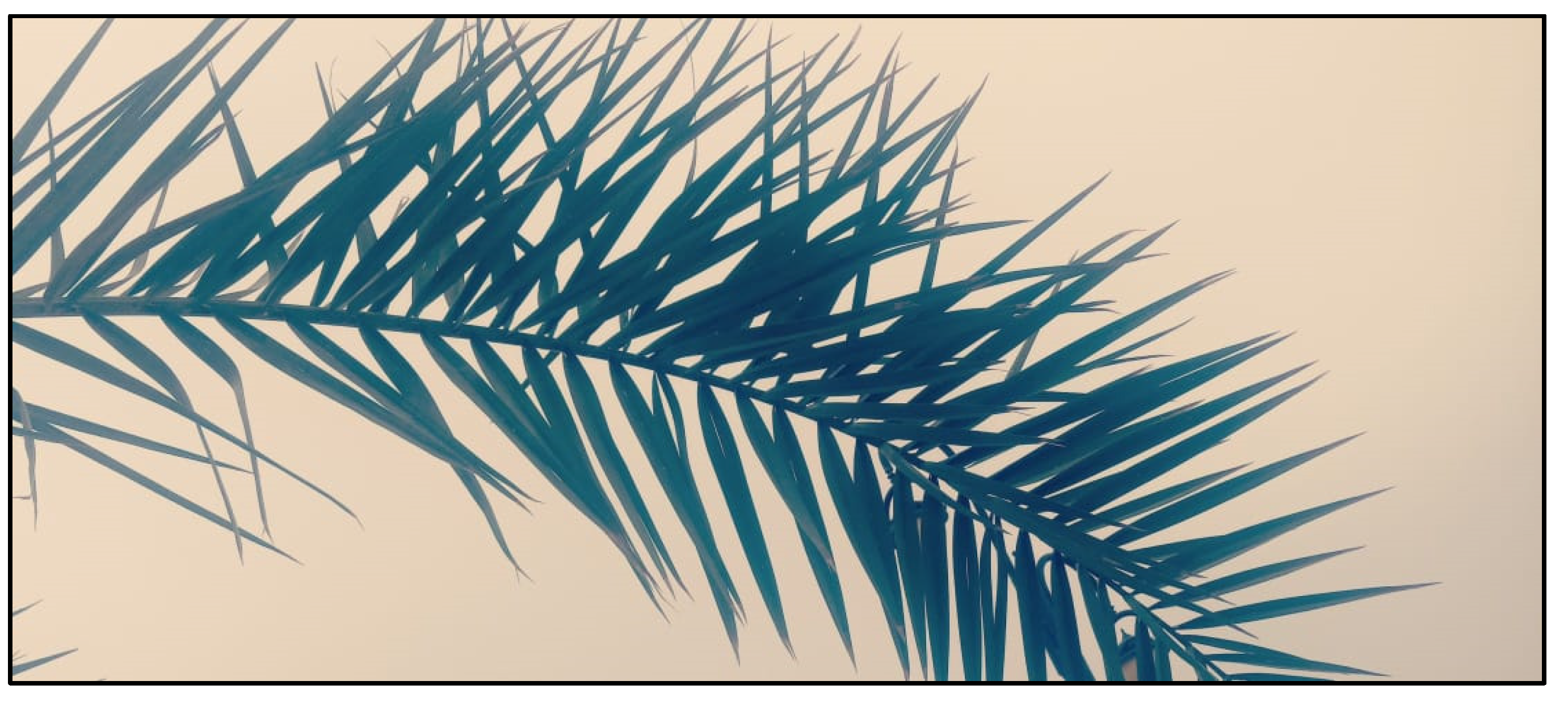 Sustainability 14 01134 g003