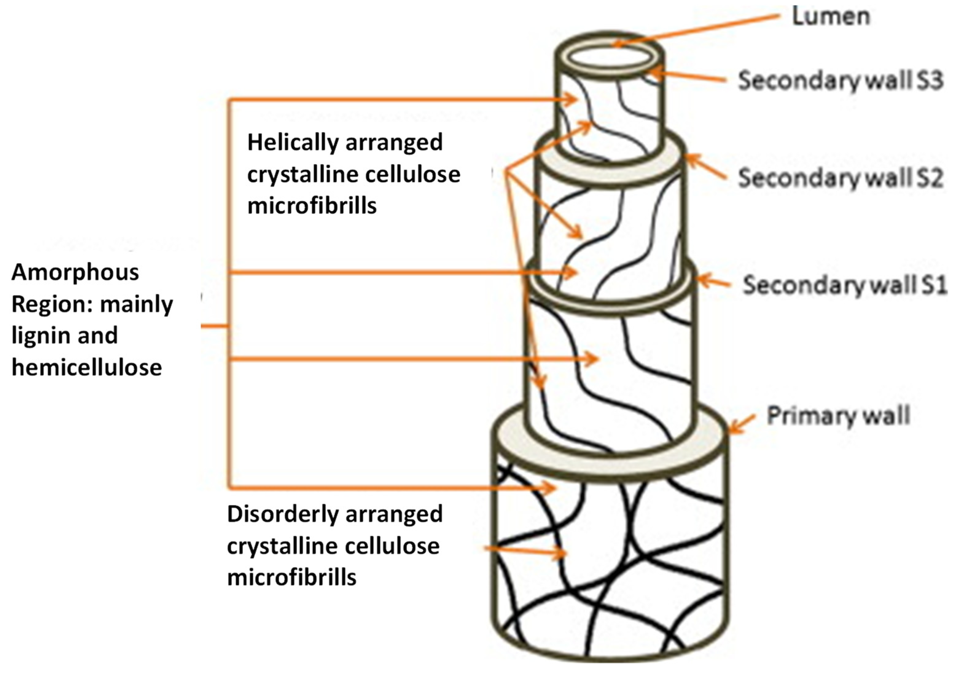 Sustainability 14 01134 g004