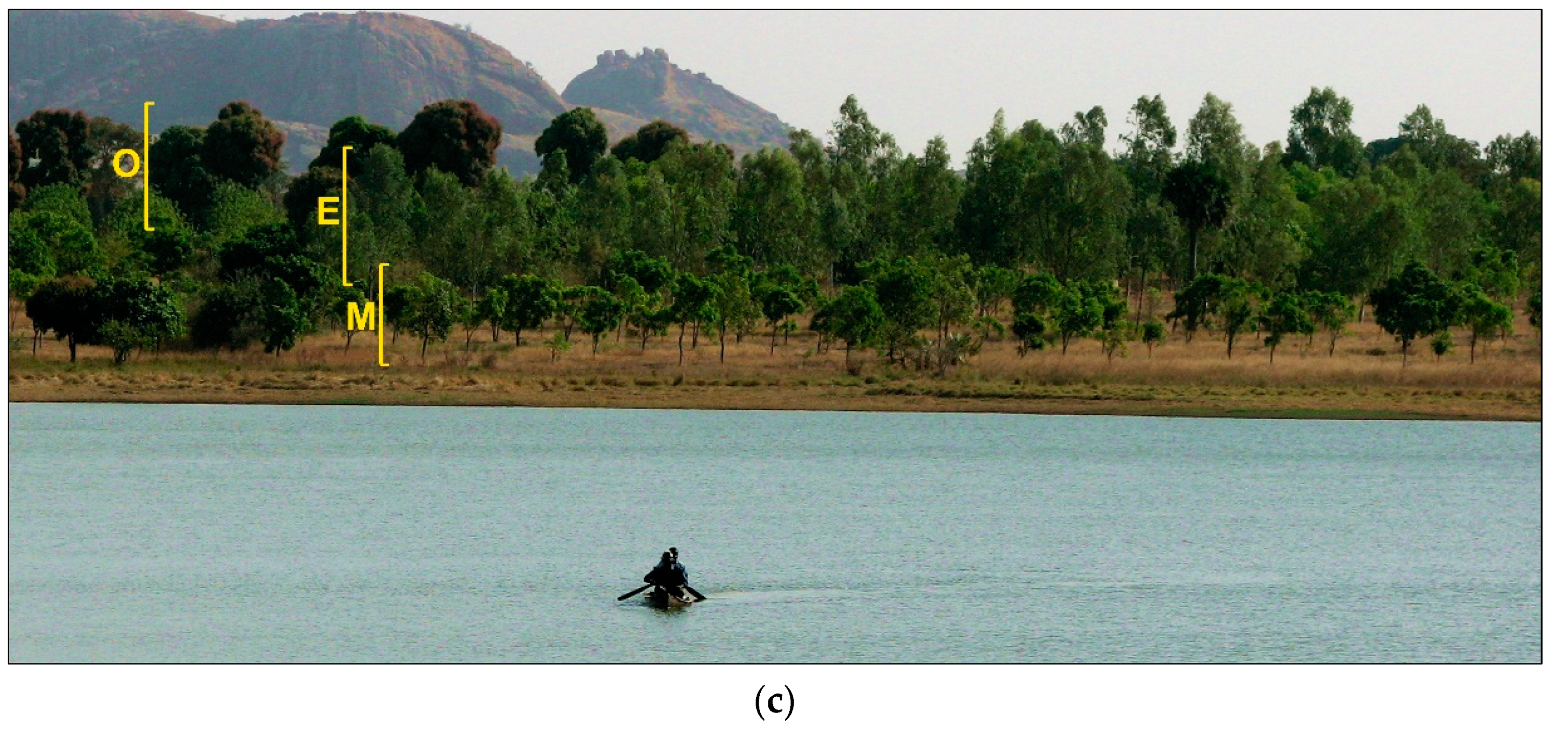 Sustainability 14 01160 g005b Sustainability 14 01160 g005b