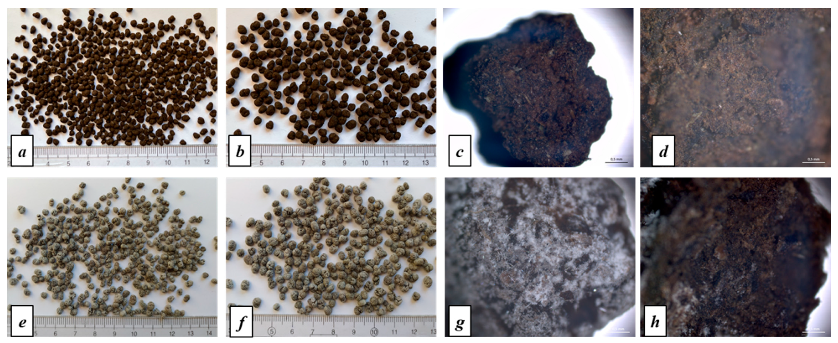 Sustainability 14 01261 g005