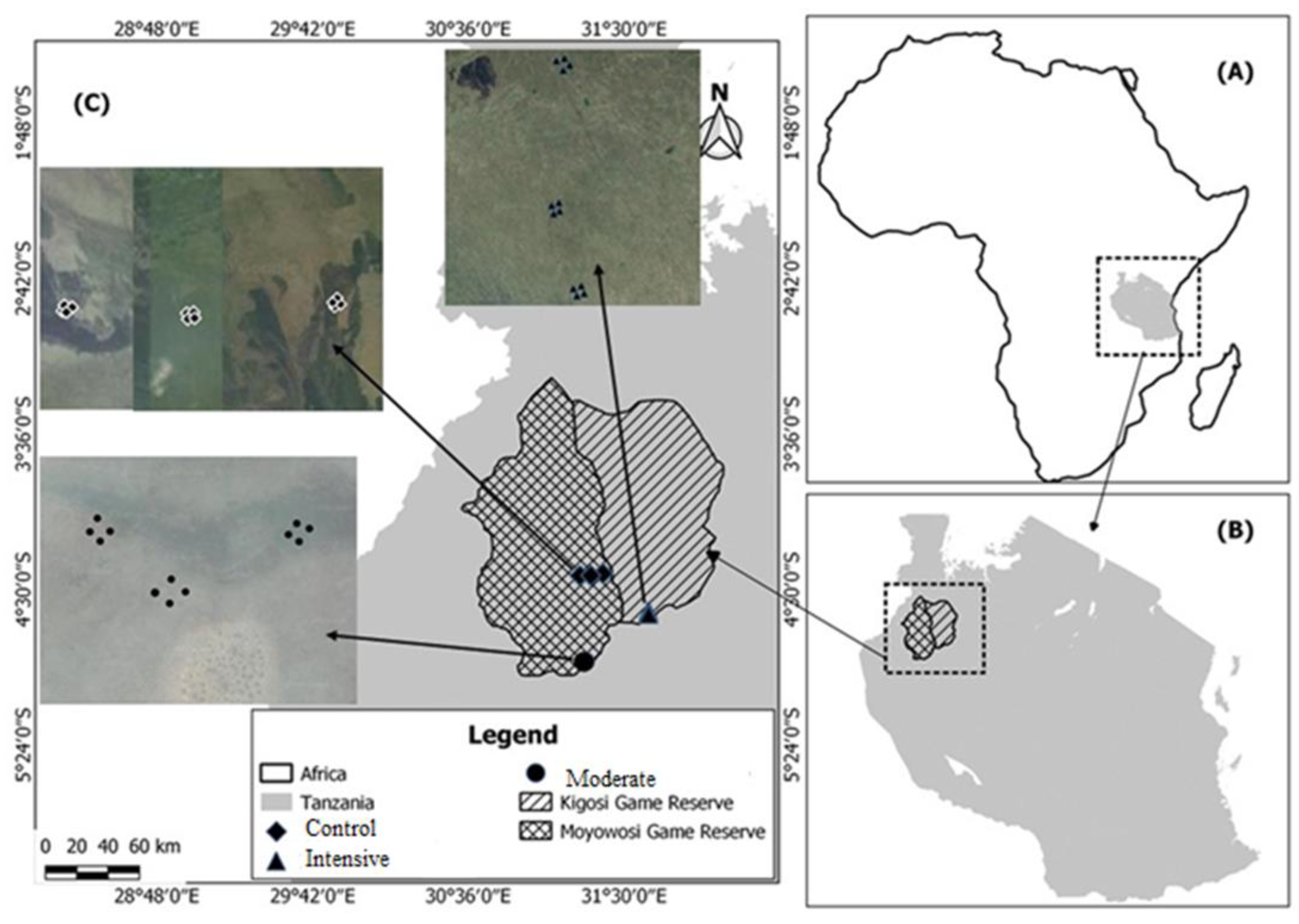 Sustainability 14 01288 g001