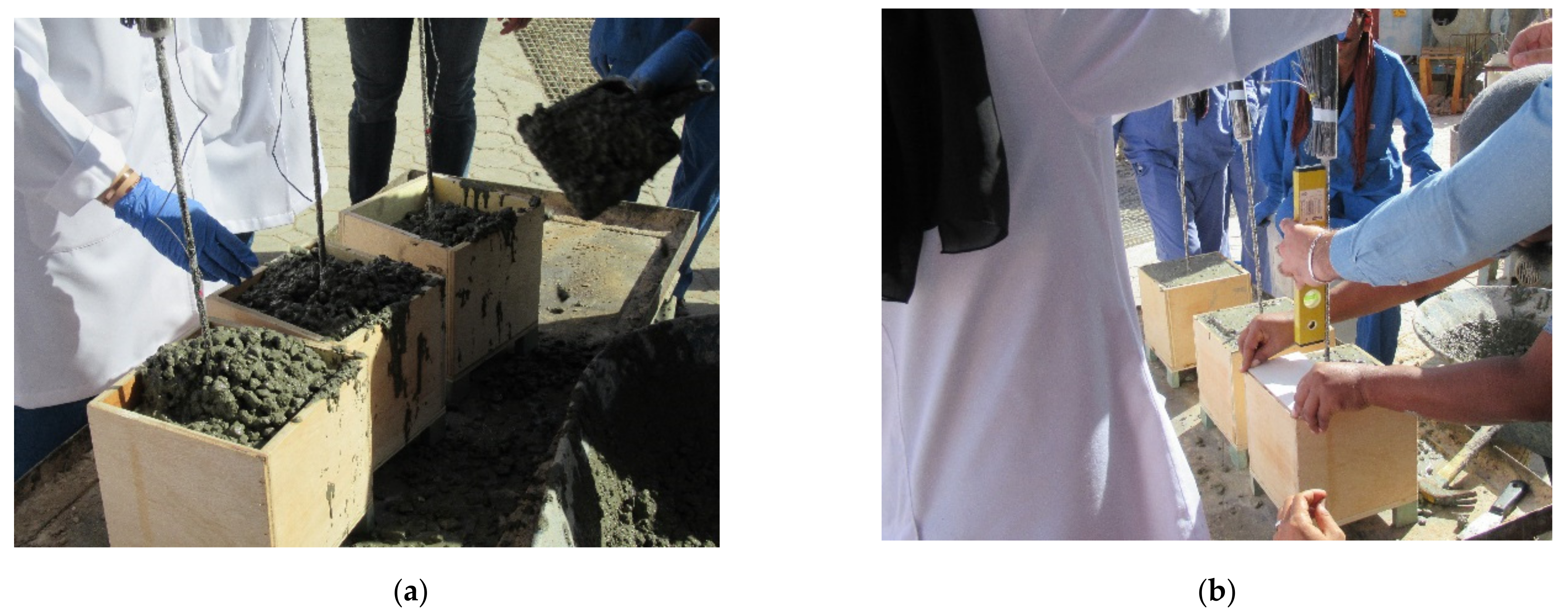 Sustainability 14 01374 g005 550