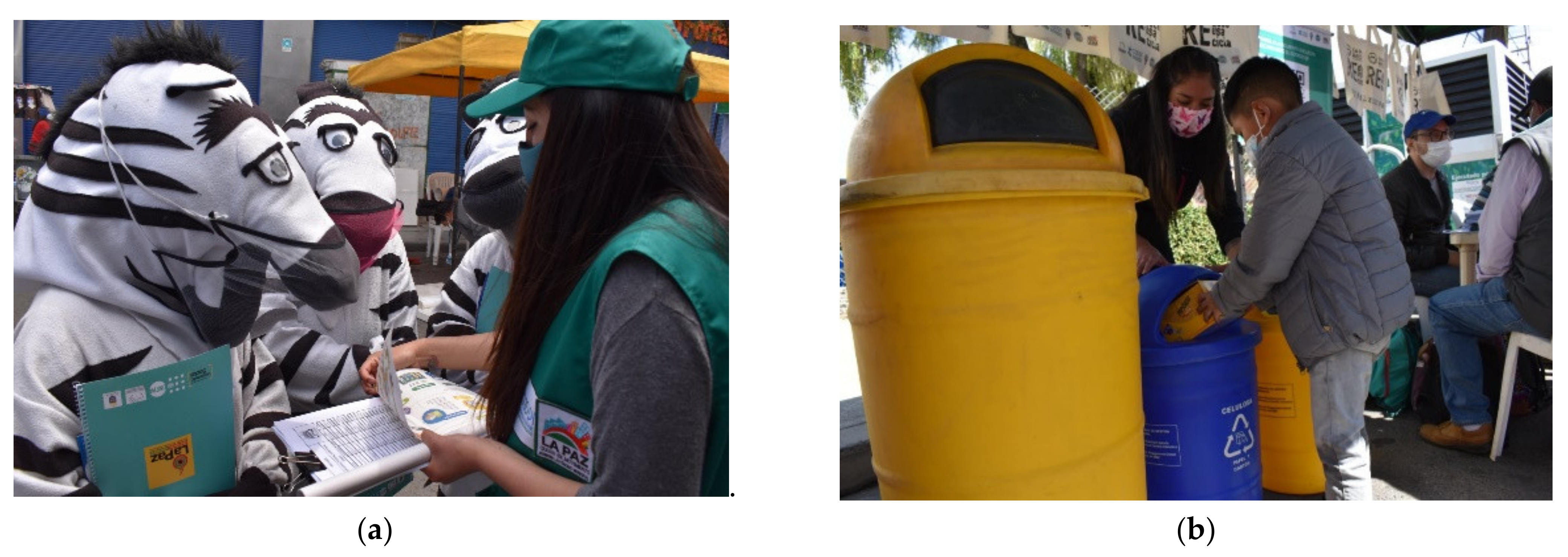 Sustainability 14 01412 g006