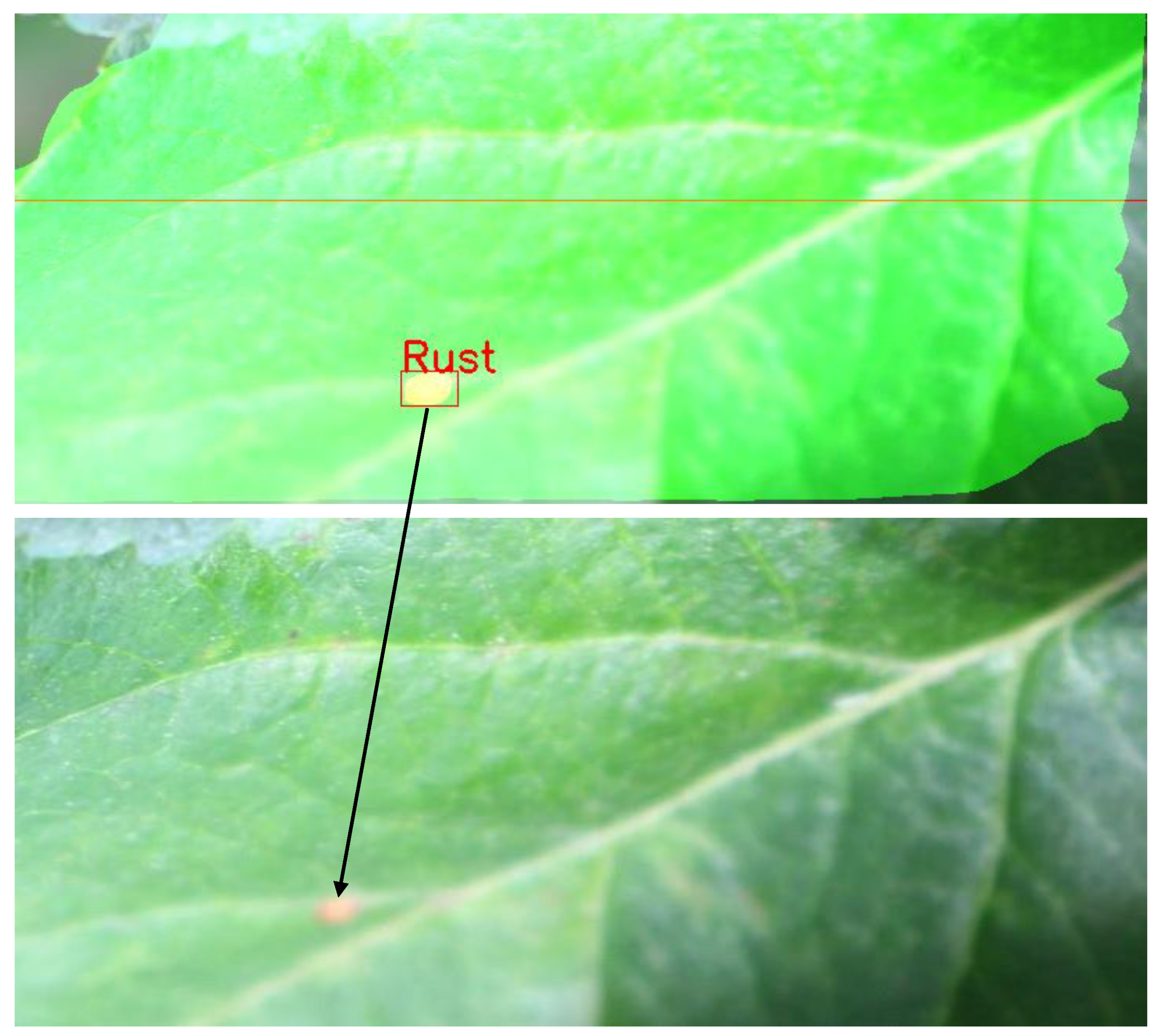 Sustainability 14 01458 g006 550