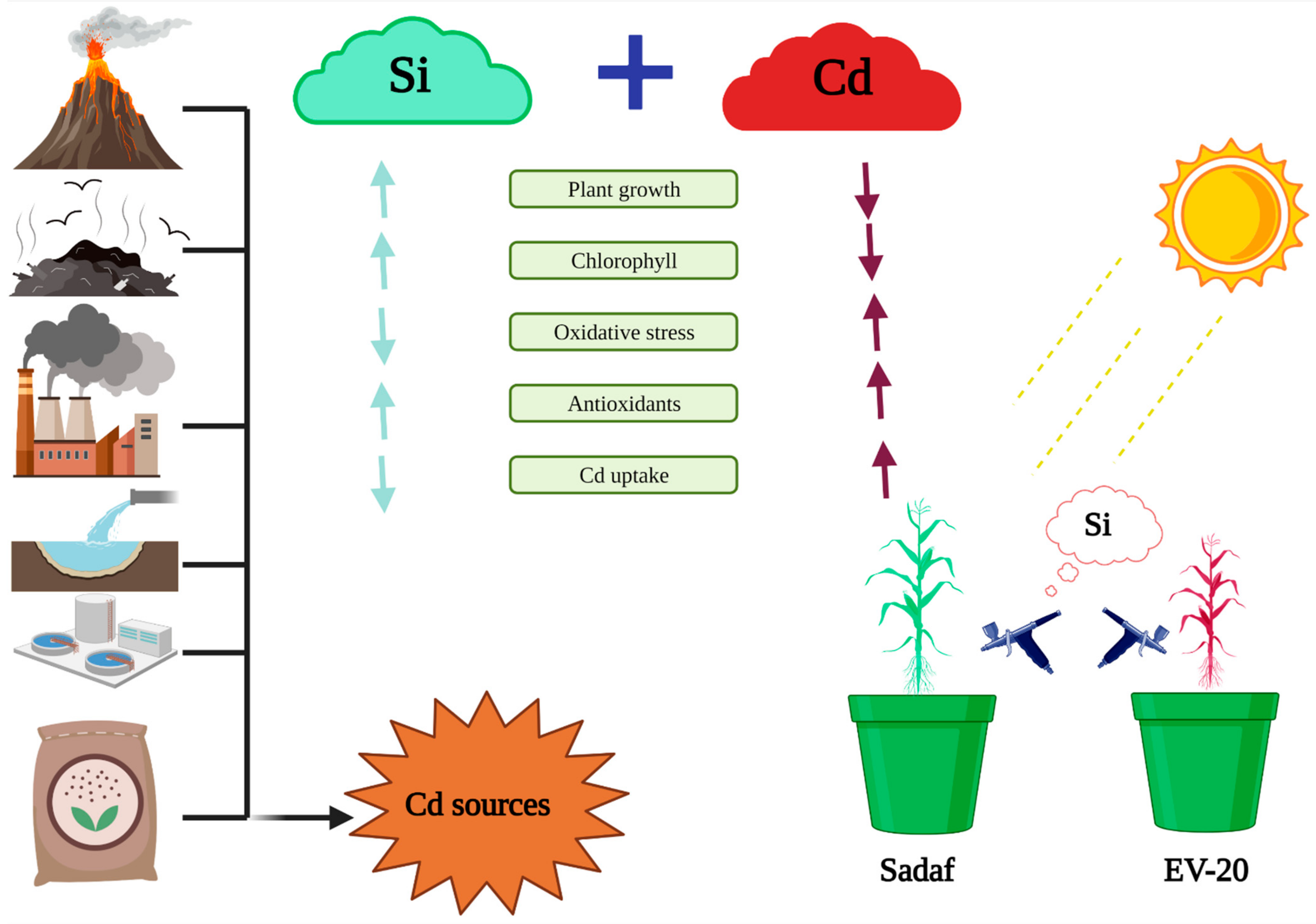 Sustainability 14 01462 g006 550