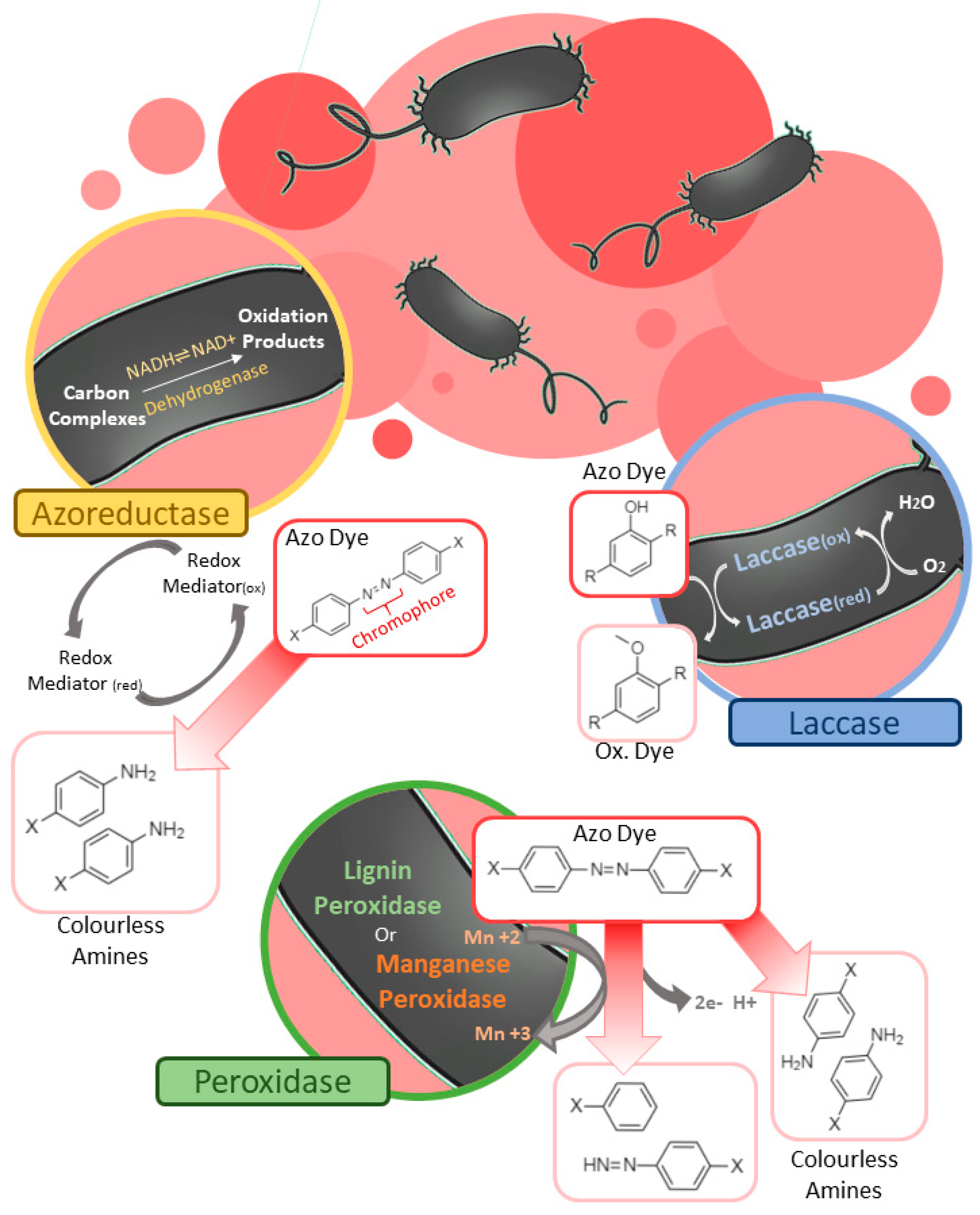Sustainability 14 01510 g001 550