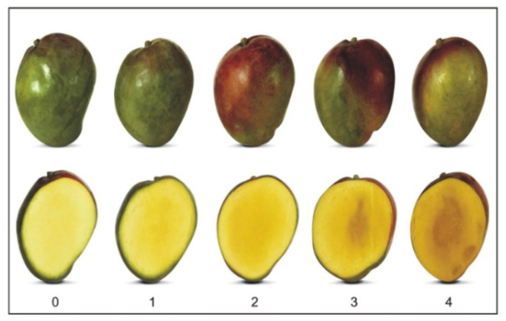 Sustainability 14 01548 g005 550