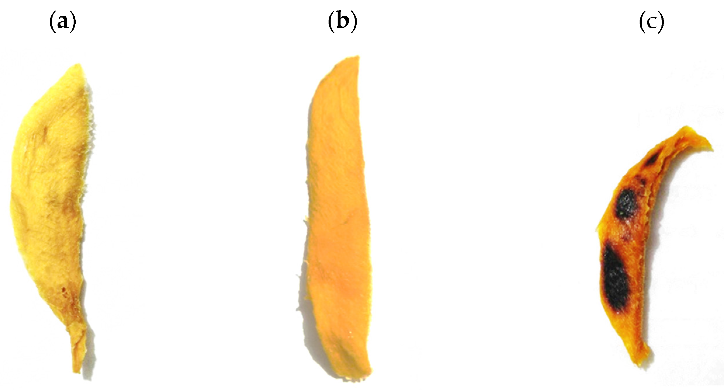 Sustainability 14 01548 g006 550