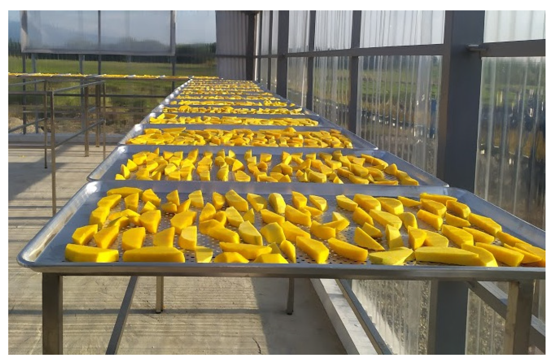 Sustainability 14 01548 g007 550