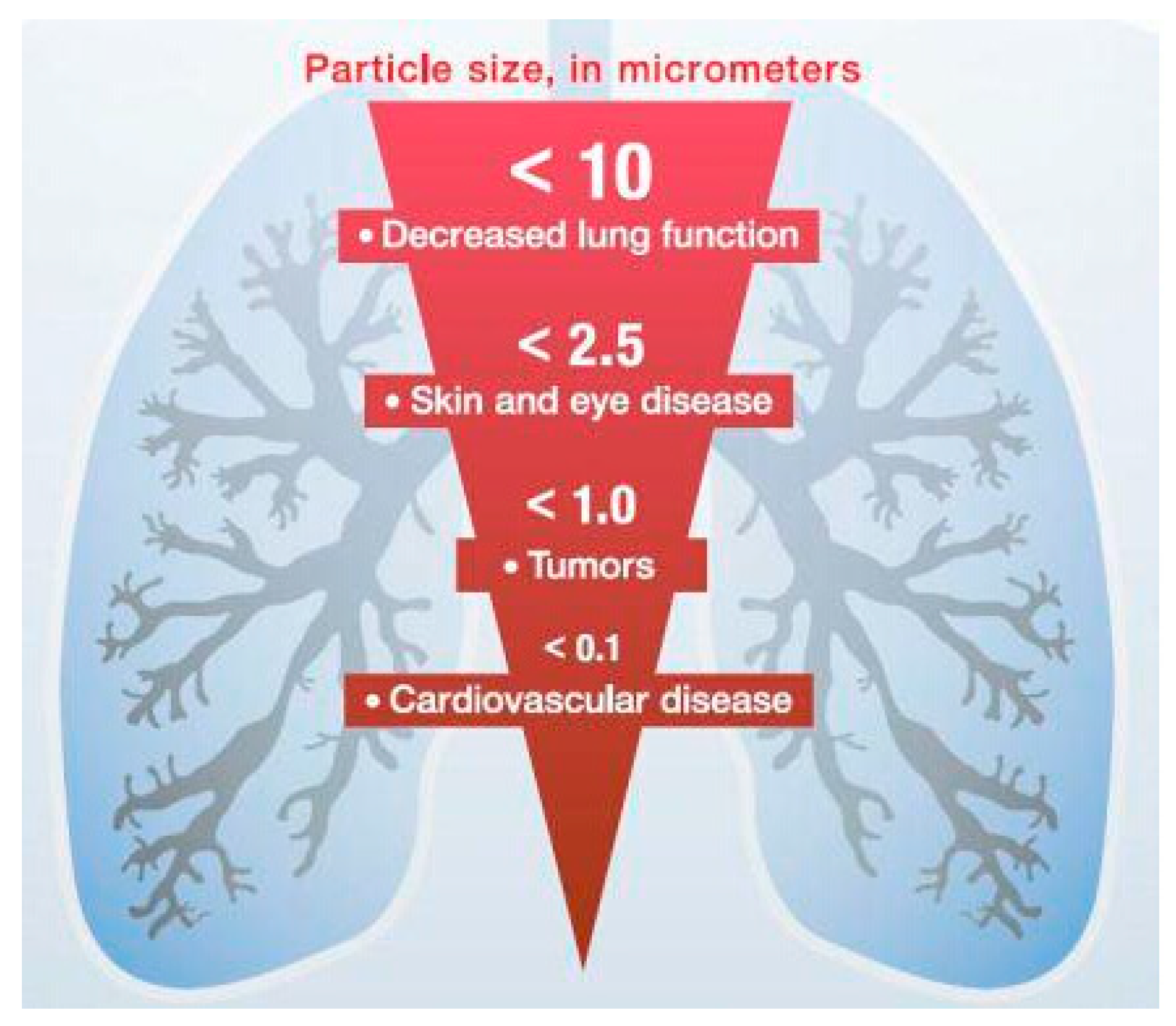 Sustainability 14 01552 g001 Sustainability 14 01552 g001