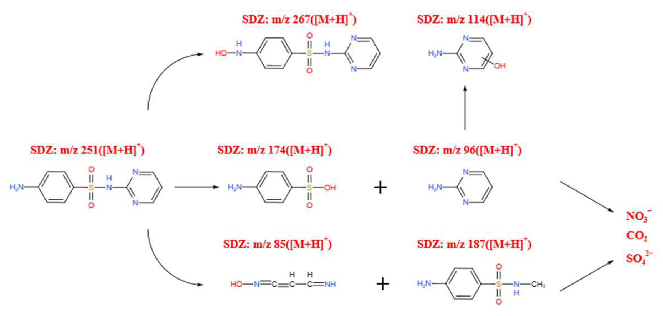 Sustainability 14 01556 g003
