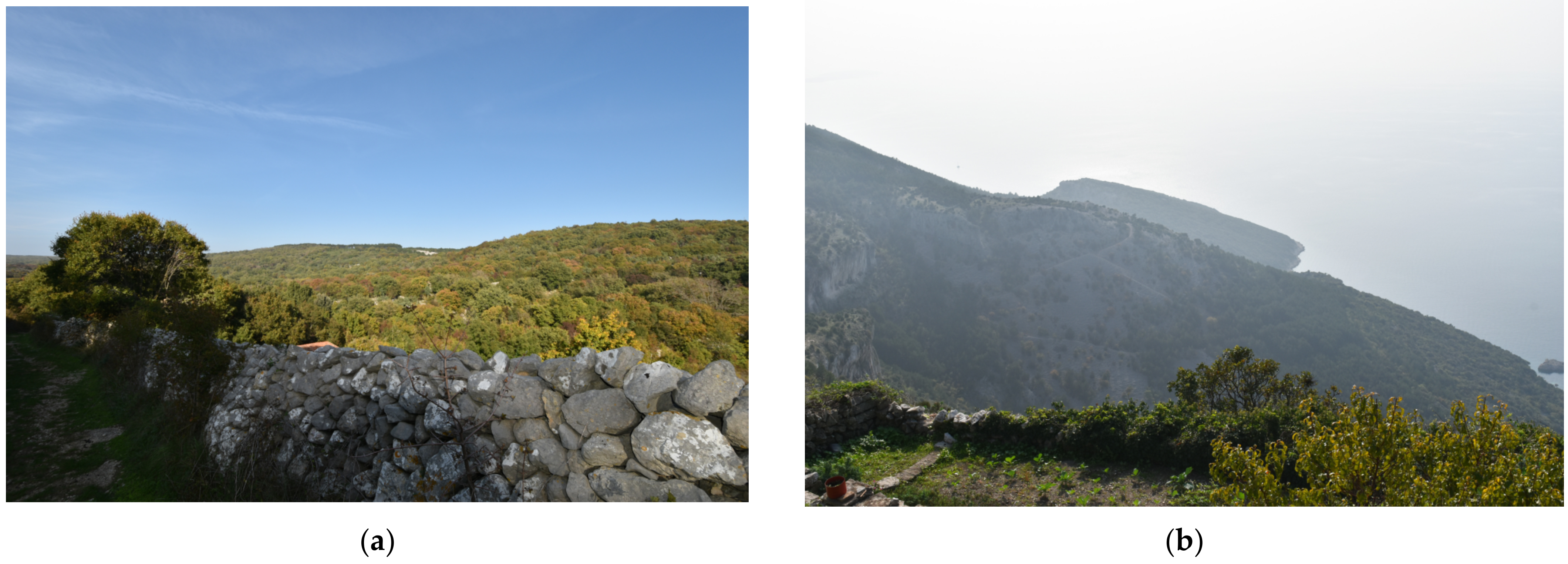 Sustainability 14 01564 g003 550