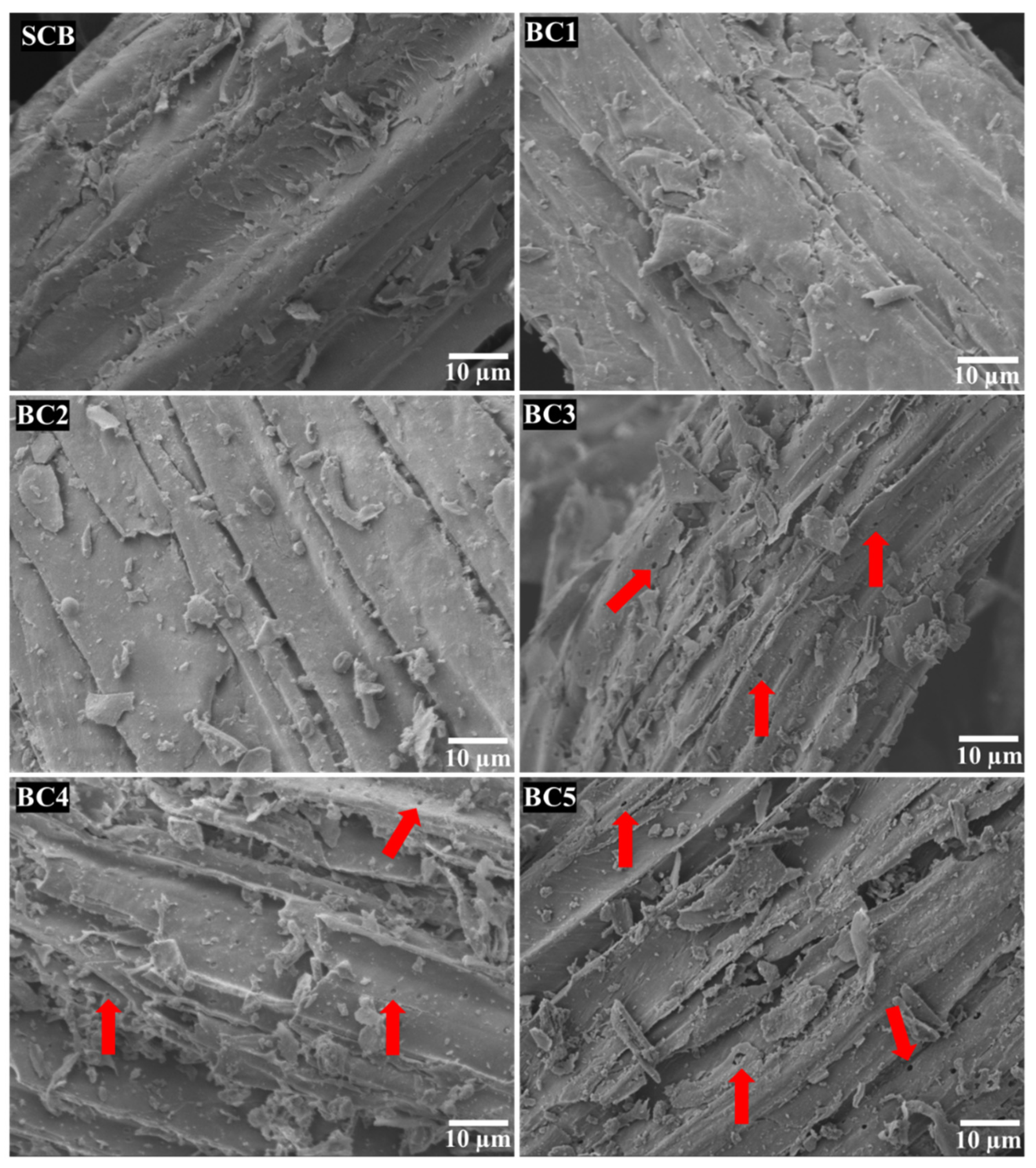 Sustainability 14 01571 g002 550