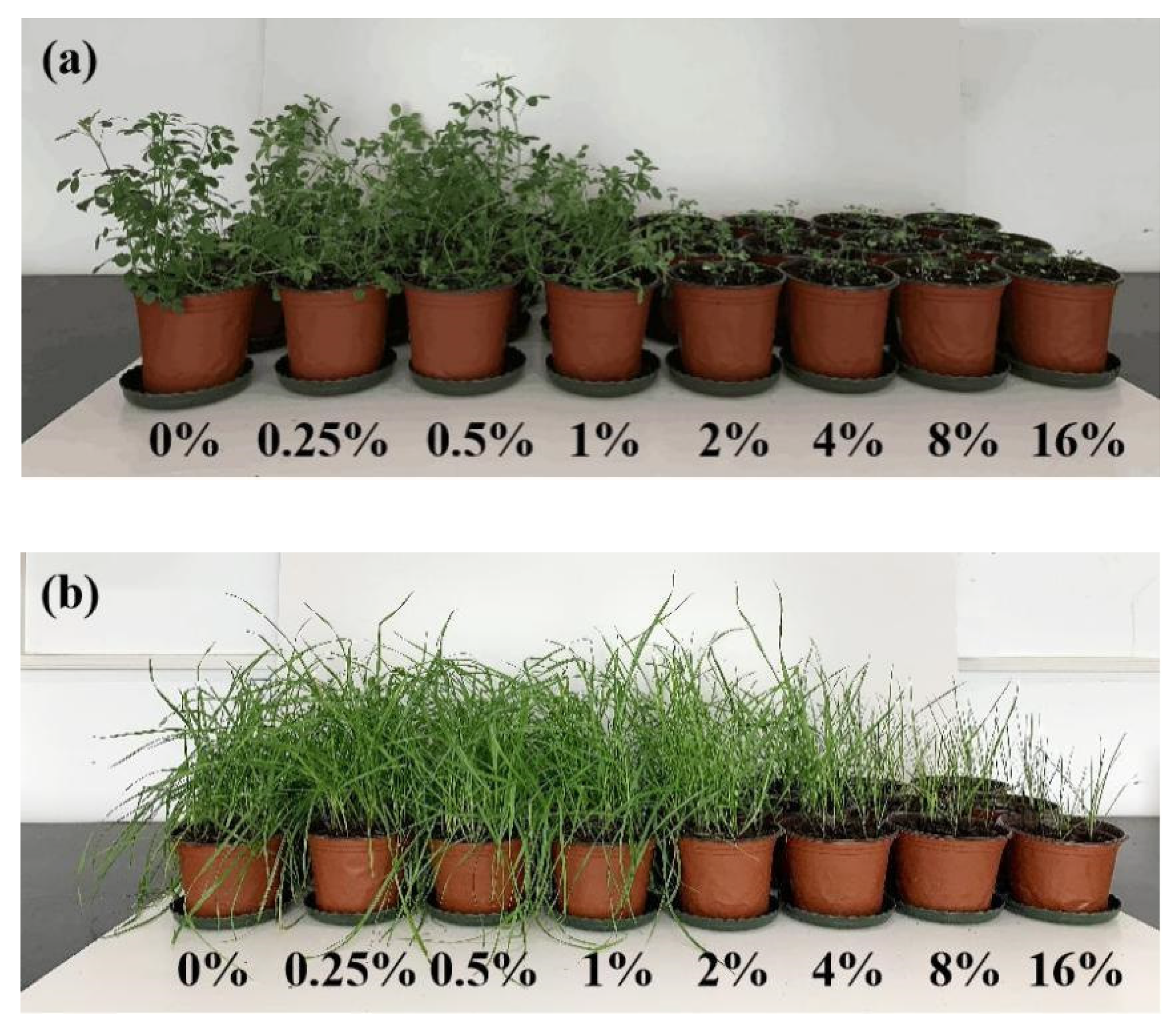 Sustainability 14 01575 g002 550