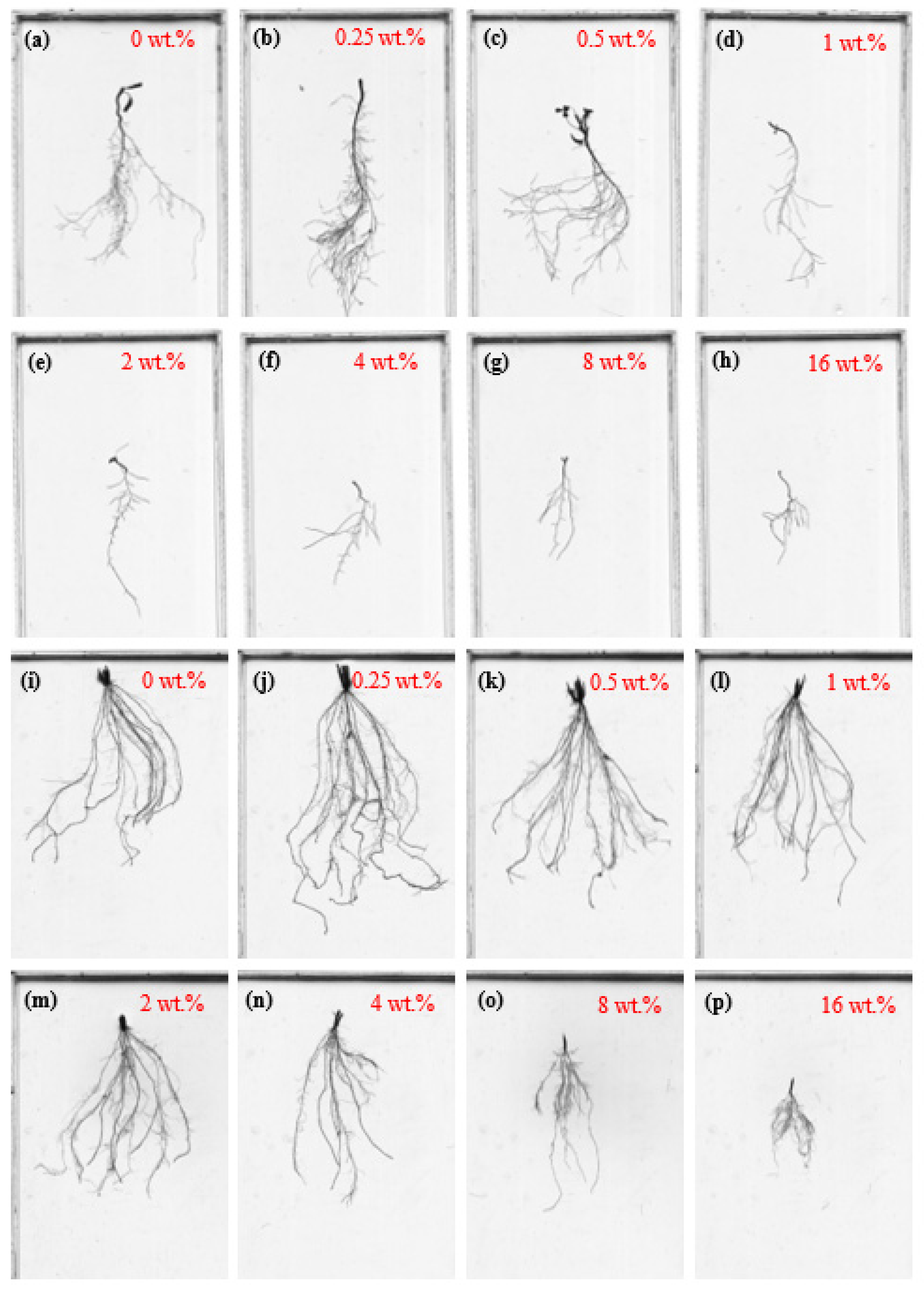 Sustainability 14 01575 g003 550