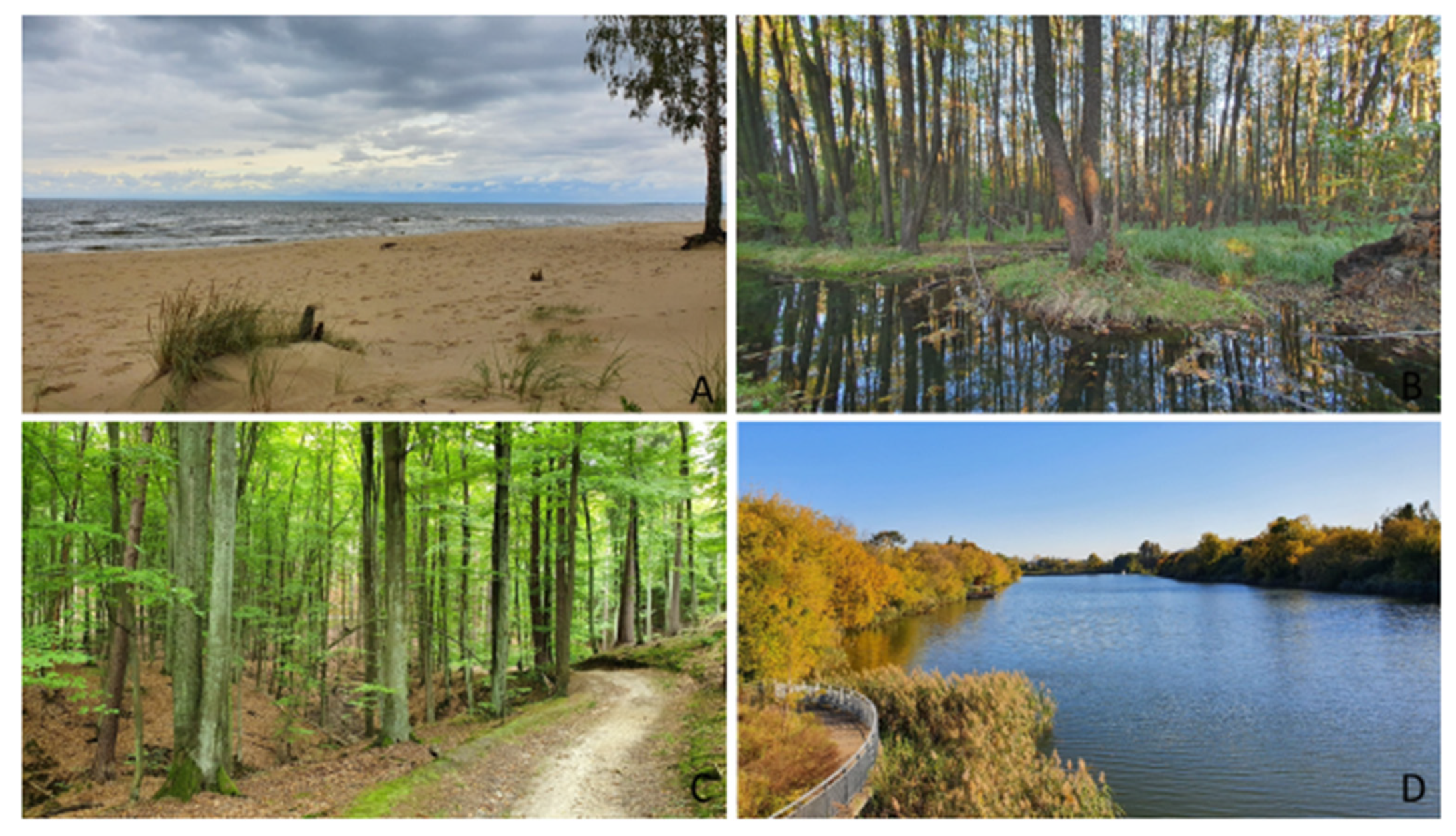 Sustainability 14 01581 g004 Sustainability 14 01581 g004