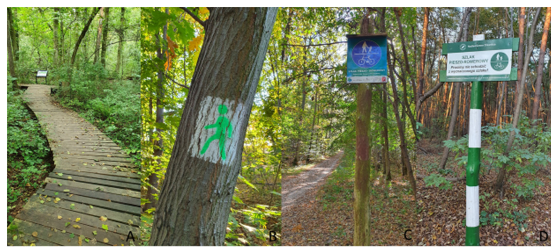 Sustainability 14 01581 g006 Sustainability 14 01581 g006