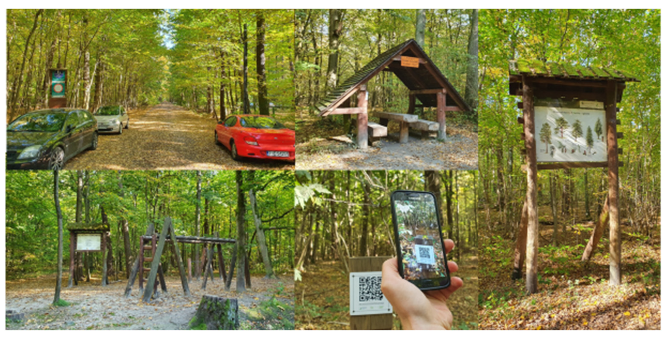 Sustainability 14 01581 g009 Sustainability 14 01581 g009