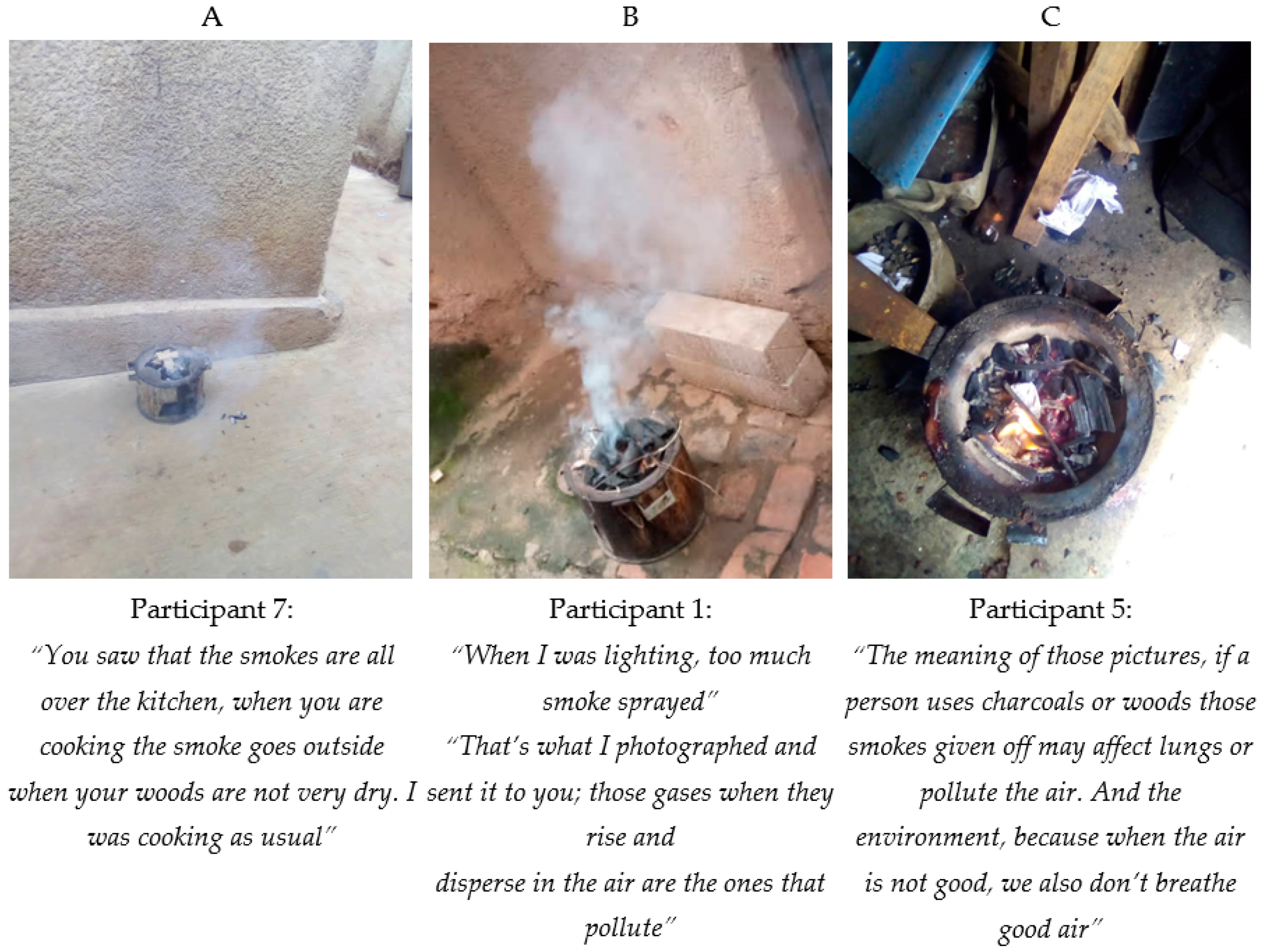 Sustainability 14 01608 g003 550