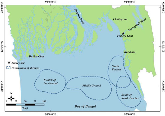 Robin migrates 140 miles over North Sea in just four hours, under