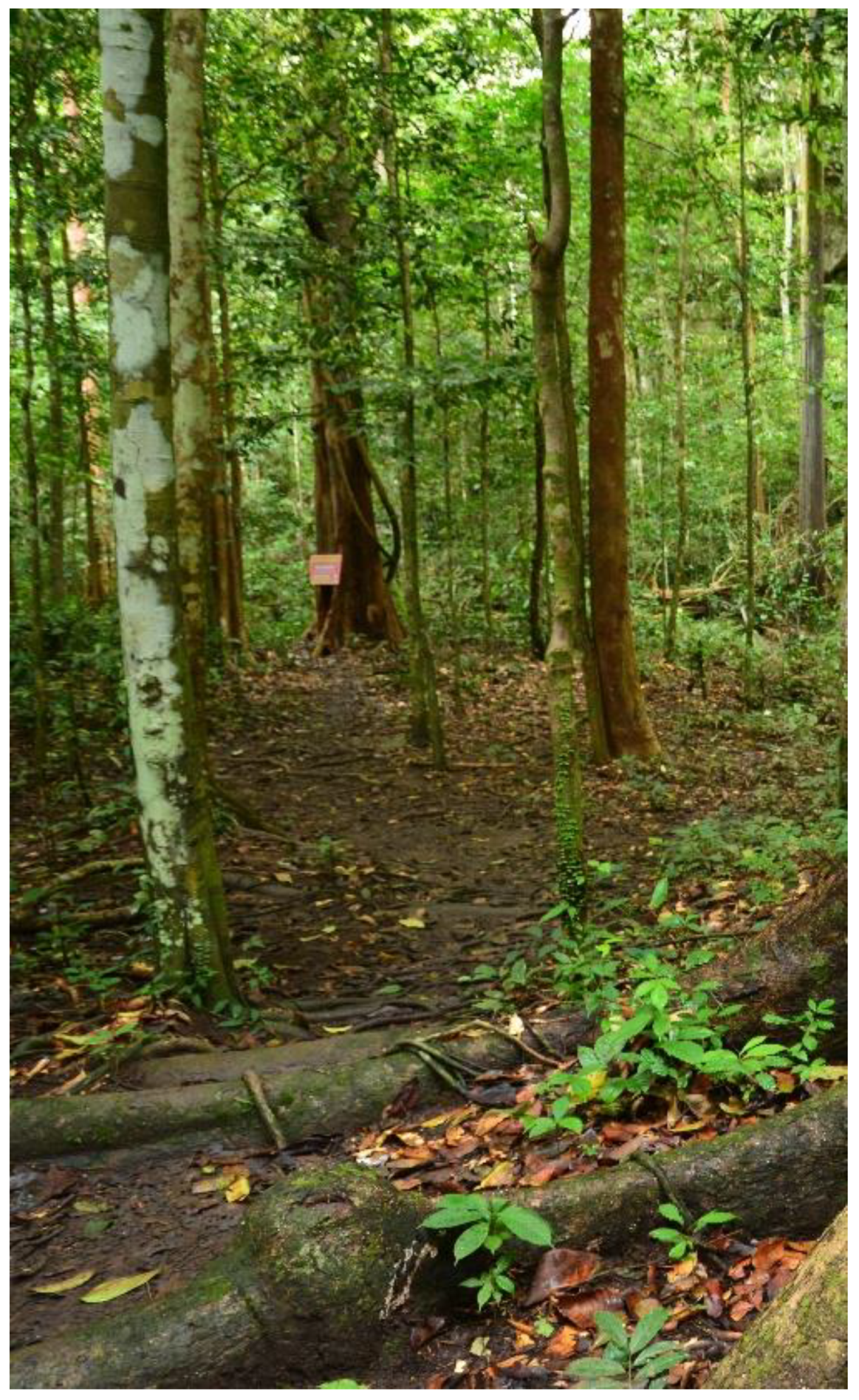 Sustainability 14 01704 g012 Sustainability 14 01704 g012