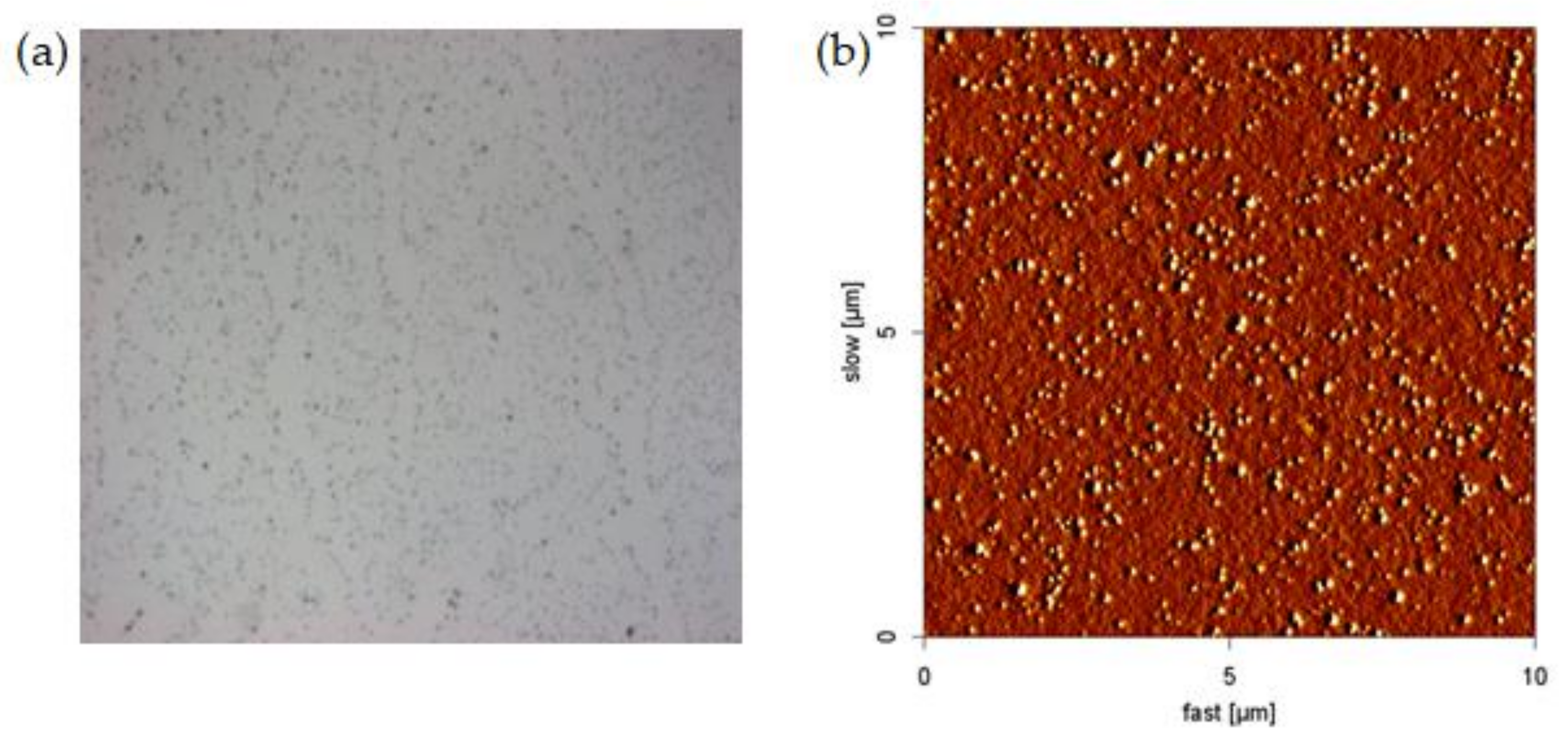 Sustainability 14 01742 g004