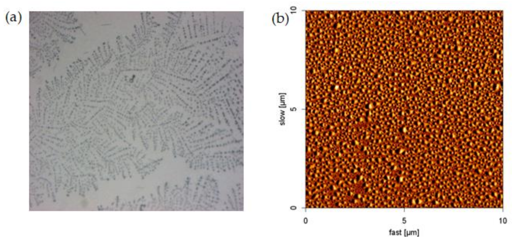 Sustainability 14 01742 g005